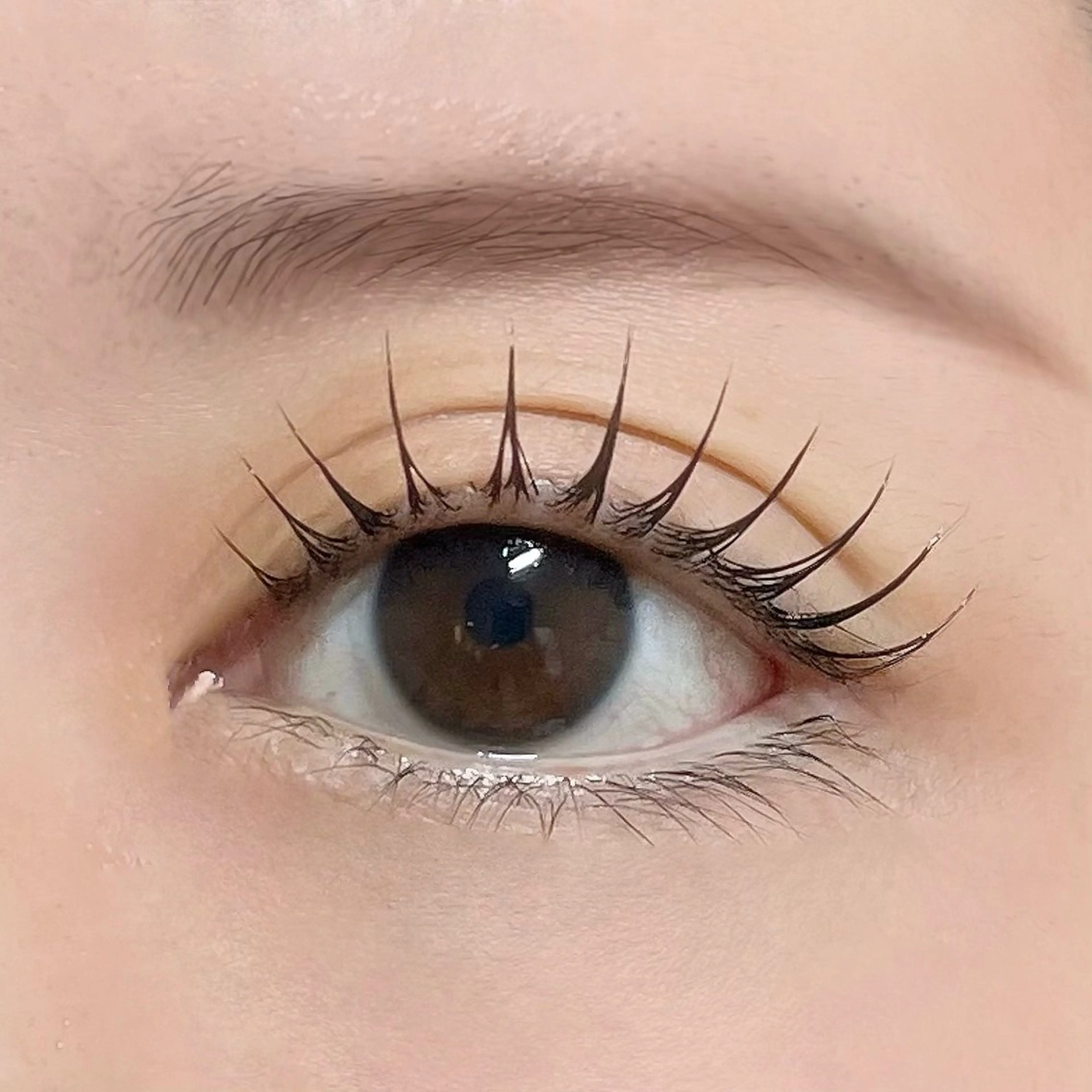 マツエク・マツパ マツパ eyelist. のむらのマツエク・マツパデザイン