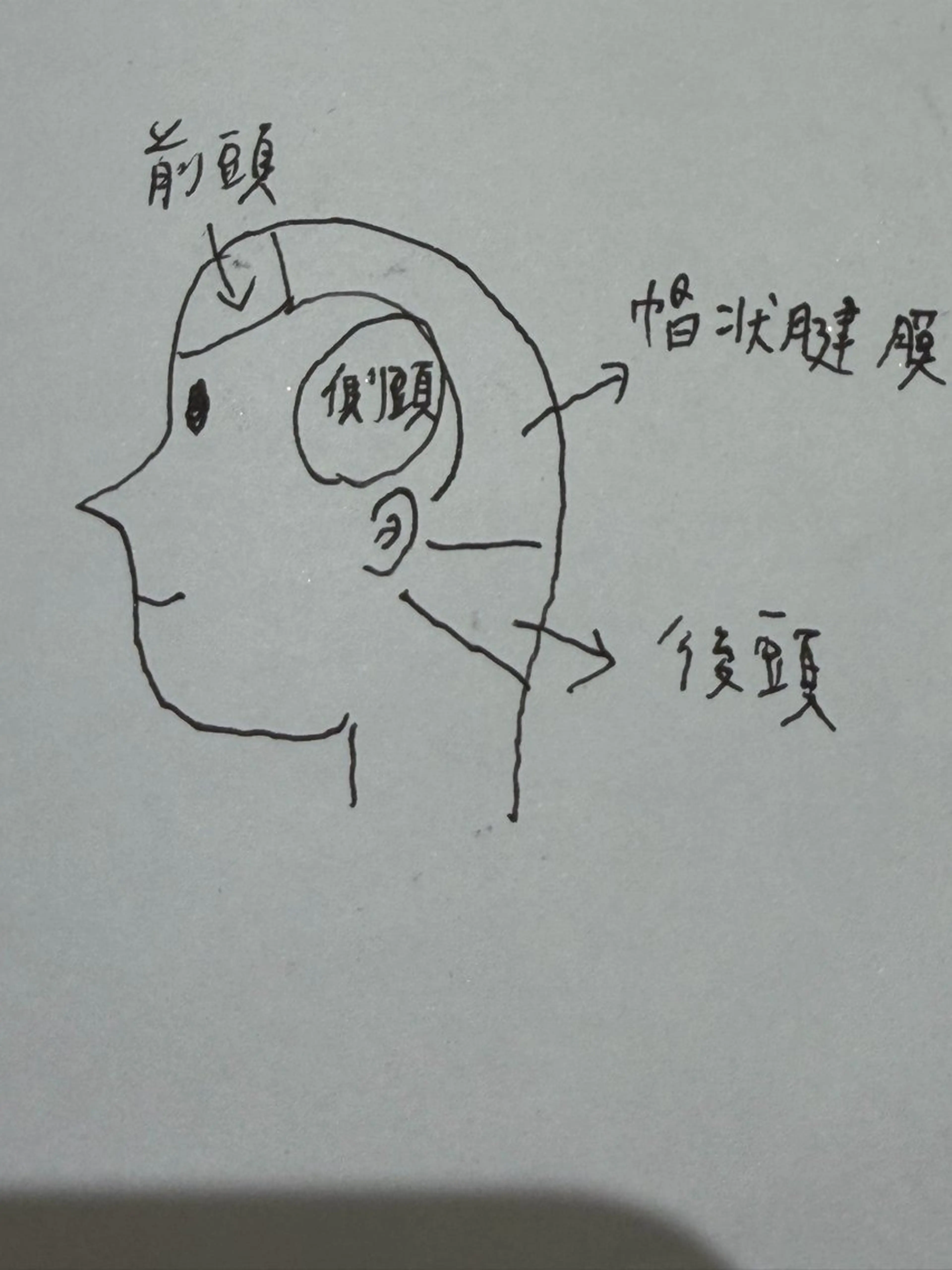 カミ ジマ　恵比寿のヘアスタイル