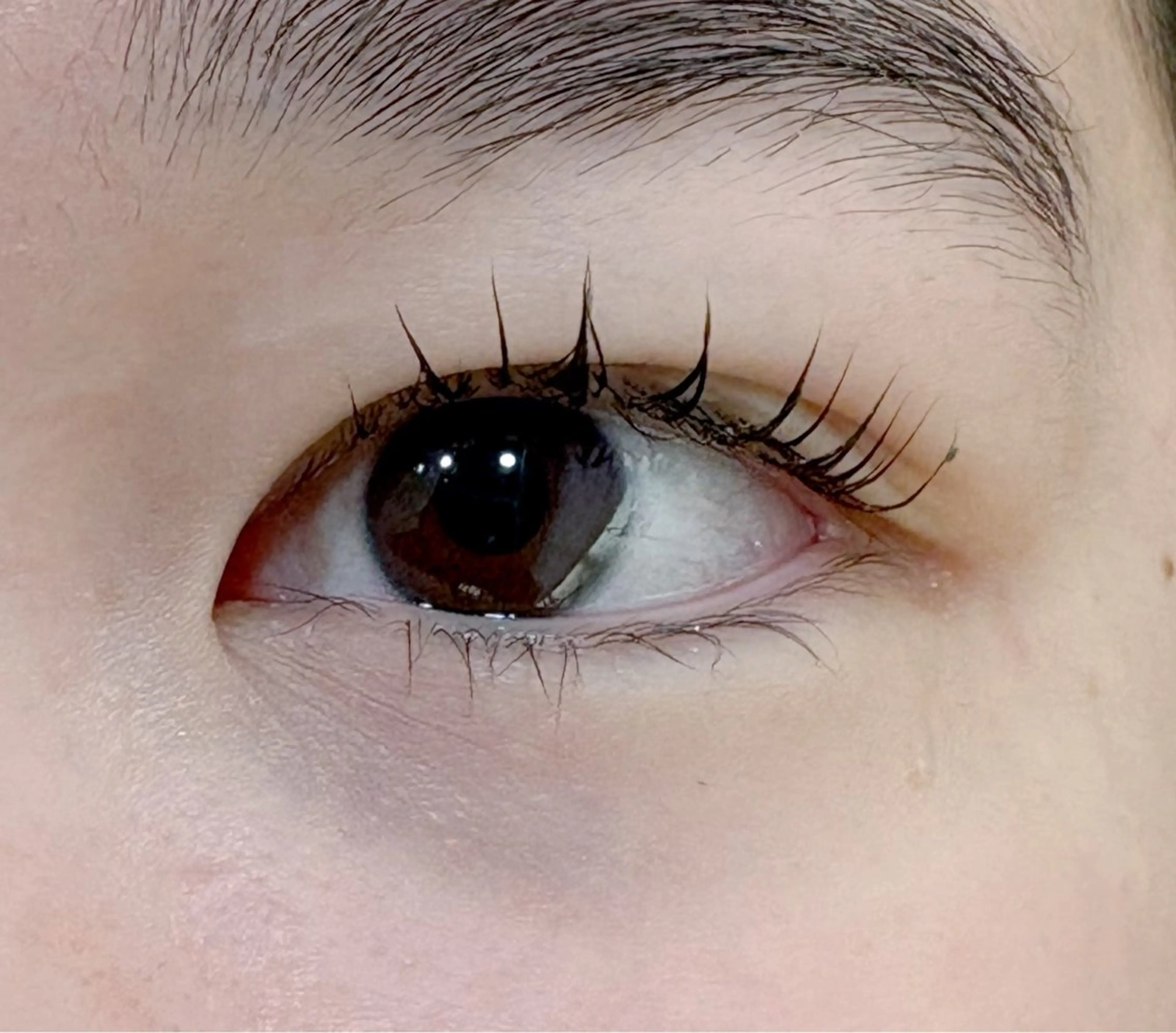 マツエク・マツパ 一重×まつ毛パーマ マツパ femme横川 さきの眉毛・アイブロウイメージ