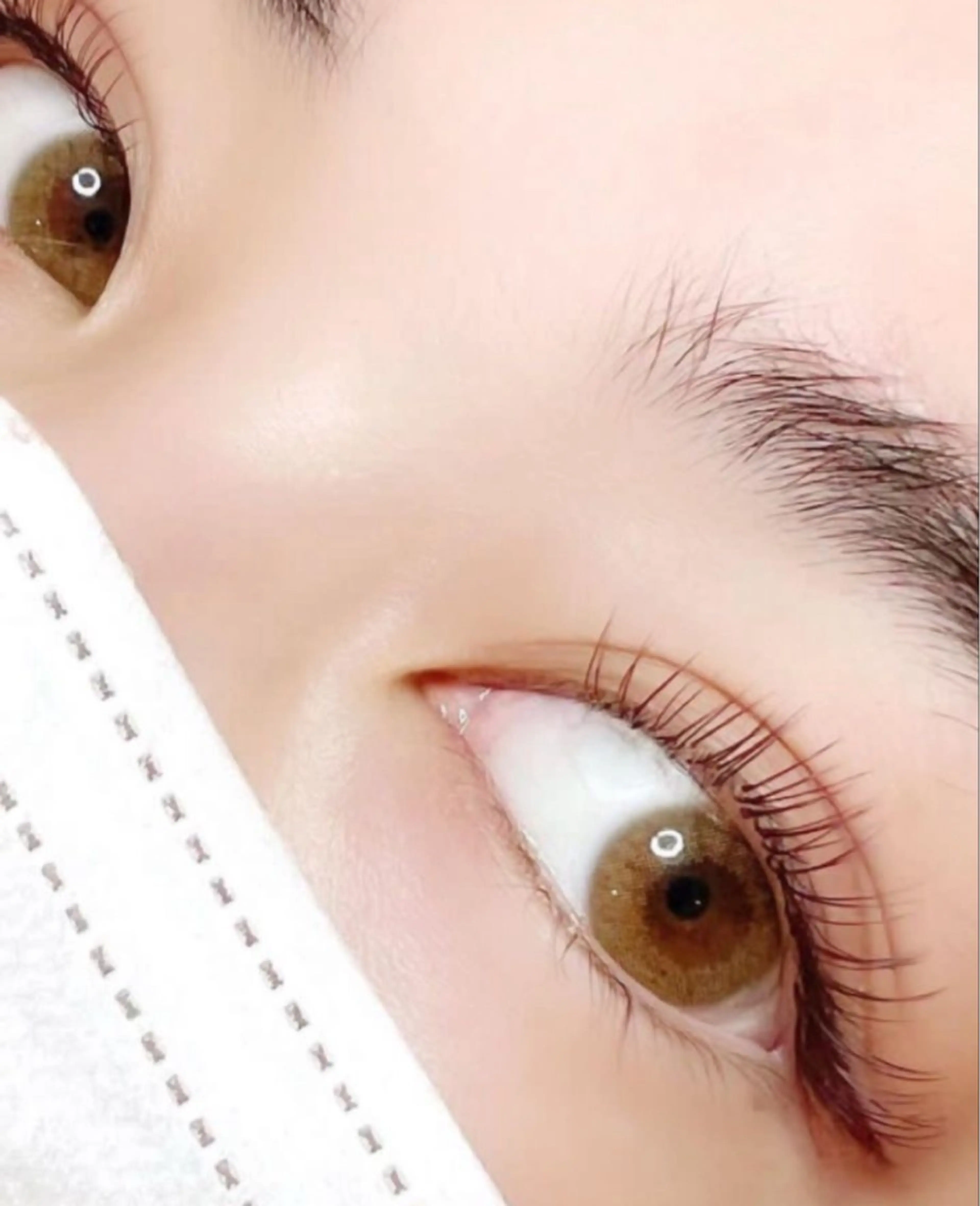 眉癖改善【ハリウッドブロウリフト➕flatlash120本】120分⭐️まつ毛も眉毛も盛りたい方へ❤️の写真
