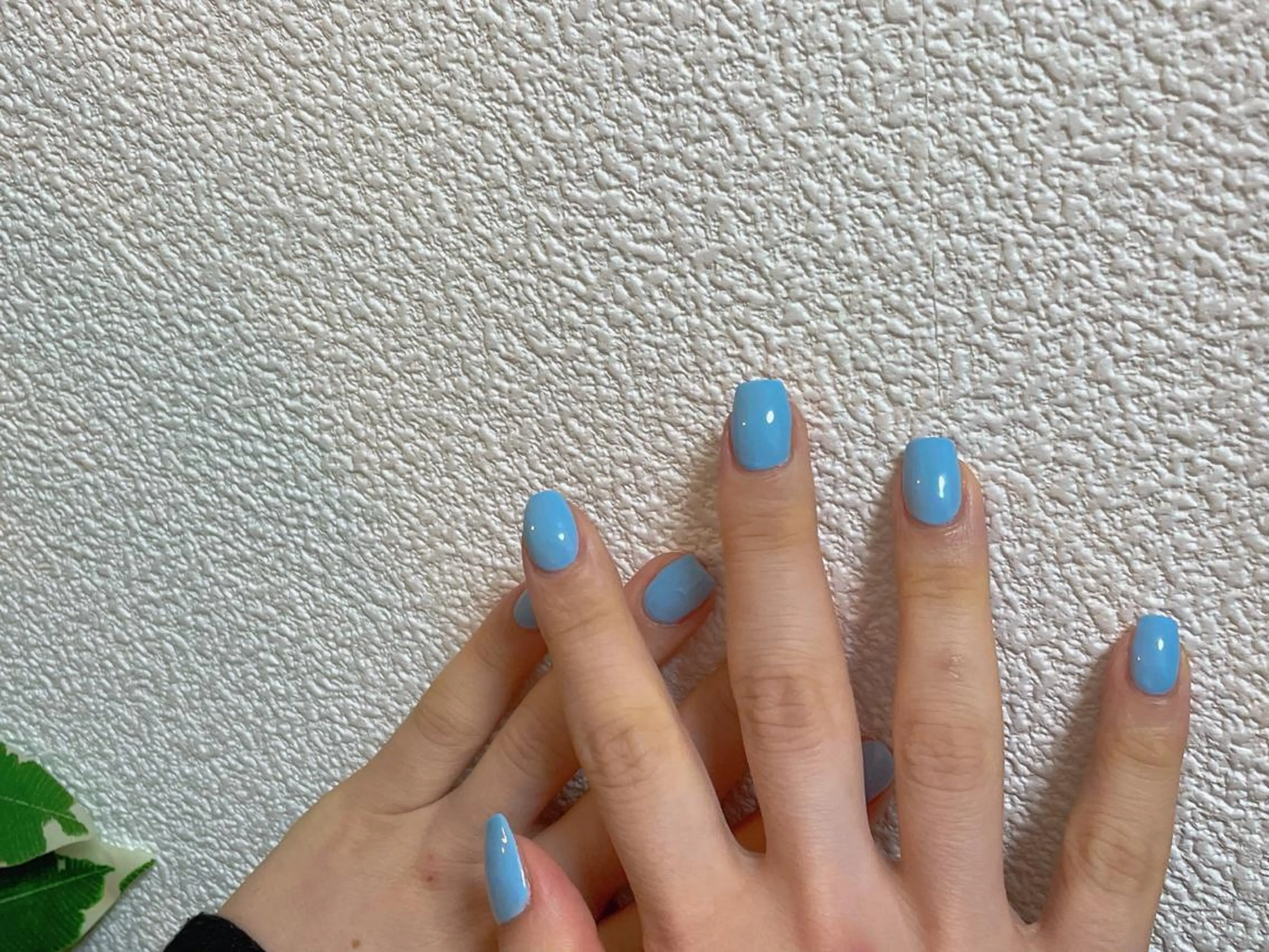 ネイル オーロラネイル フラワーネイル フットネイル フレンチネイル ジェルネイル ハンドネイル mogunail &blowのネイルデザイン