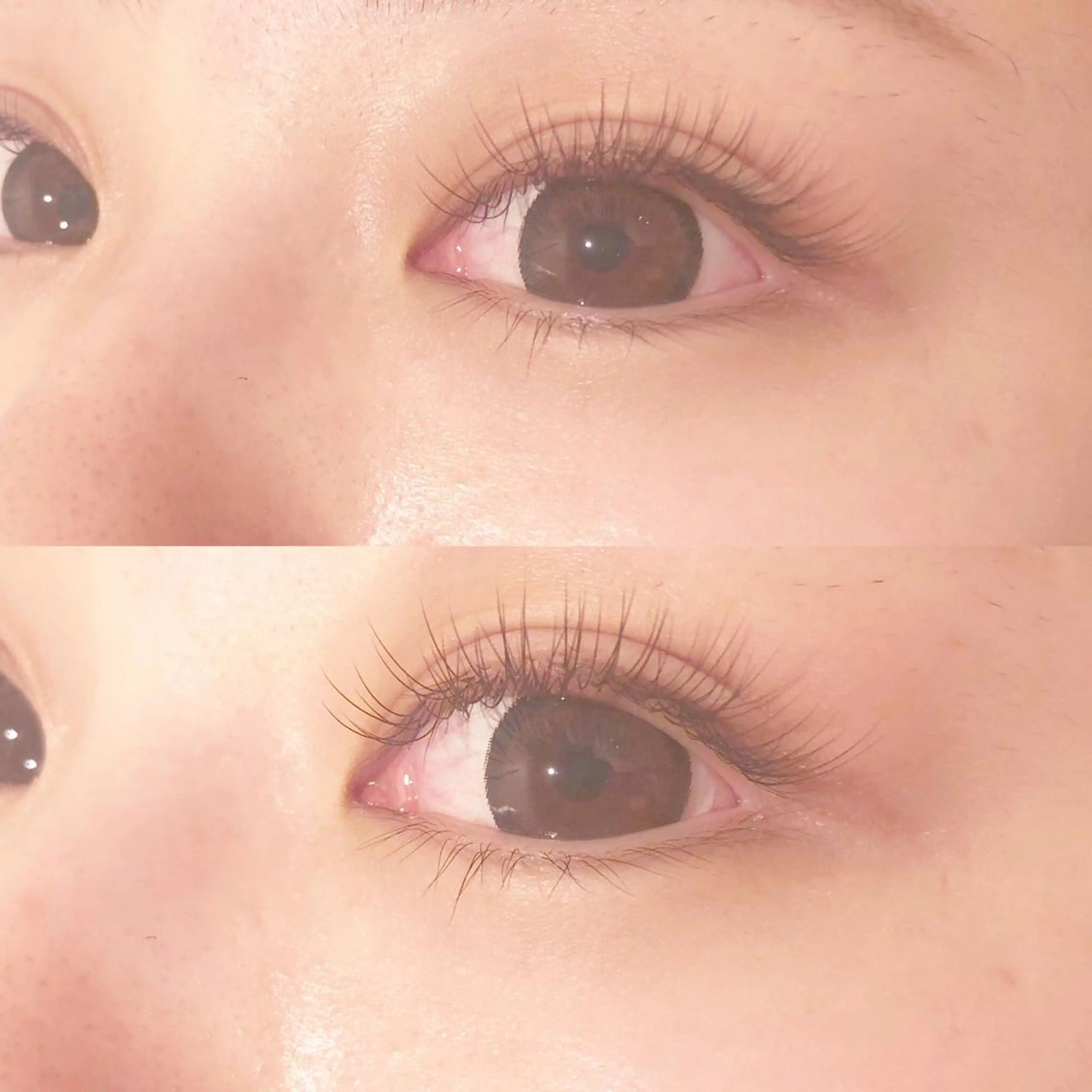 【全員OK】セーブルエクステ120本⭐️の写真