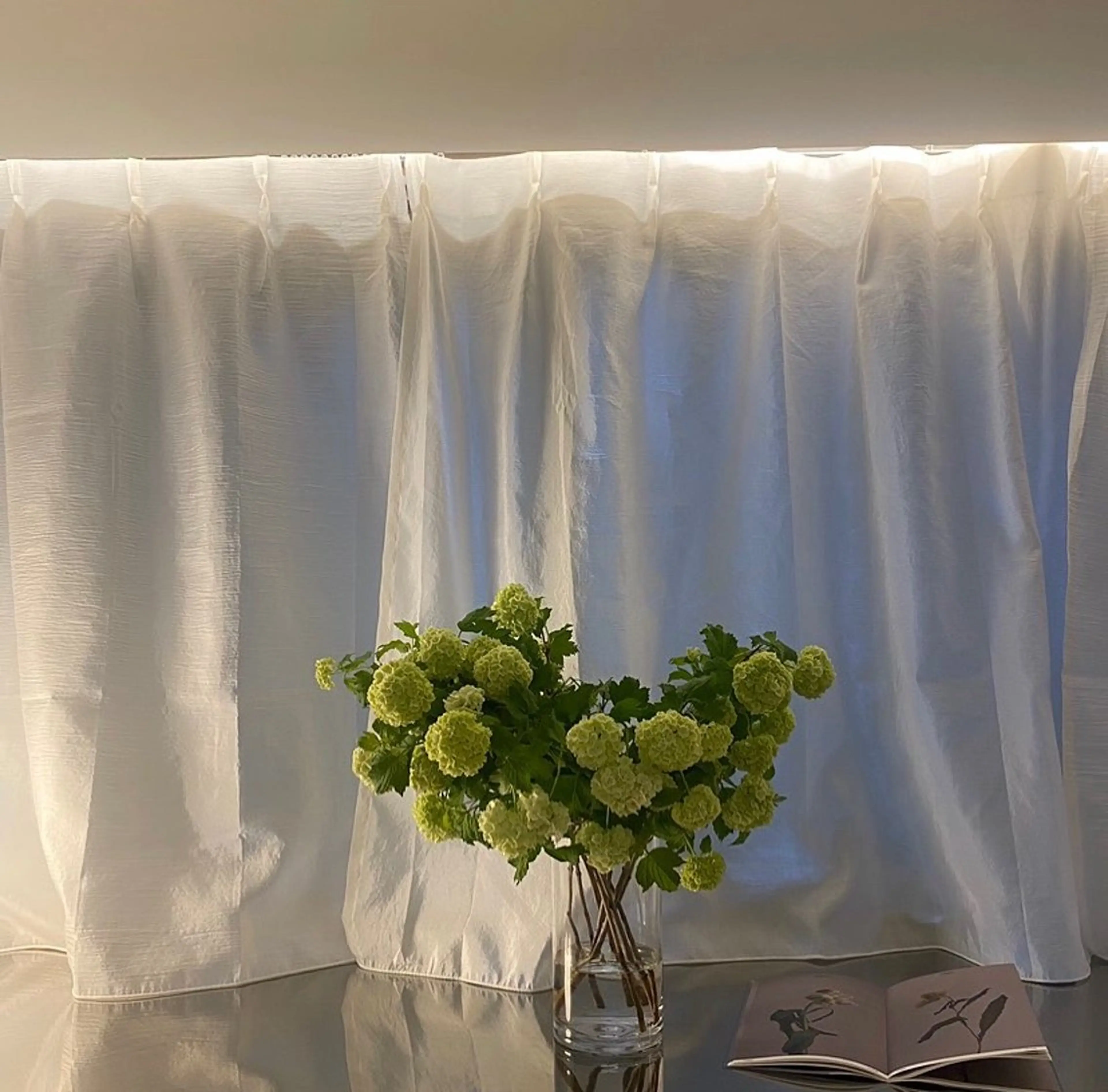 パーマ マツパ ELLY 🍸eyelly横浜のマツエク・マツパデザイン