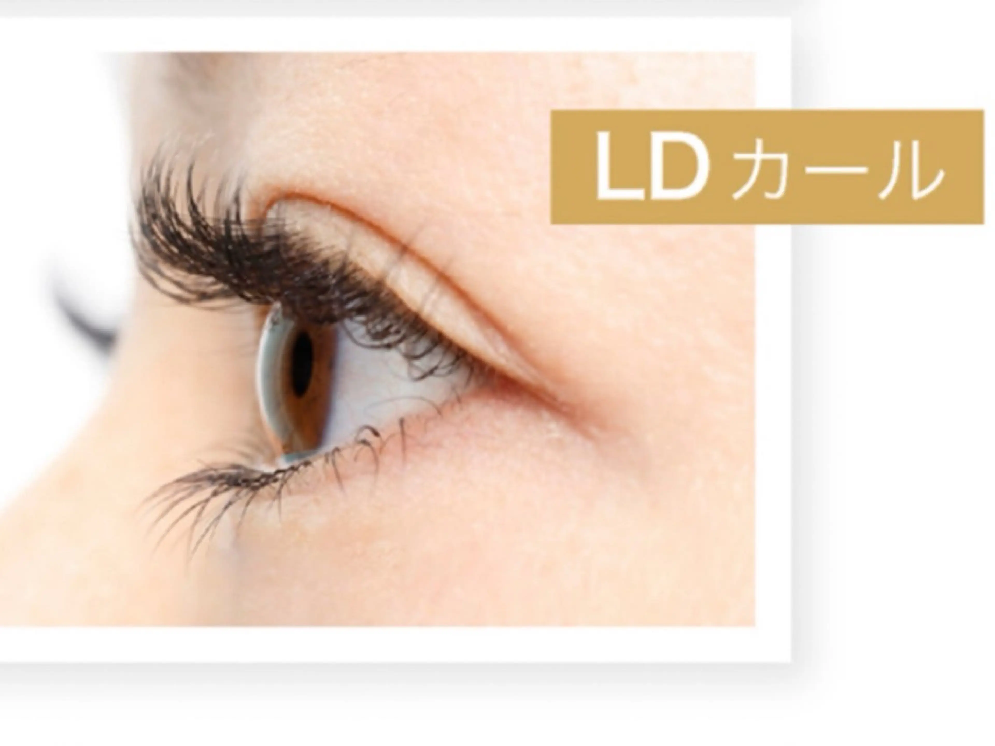 【Dカールより更に上がるLDカール⤴️】120本+長持ちコーティング付き(2回目以降+500円)の写真