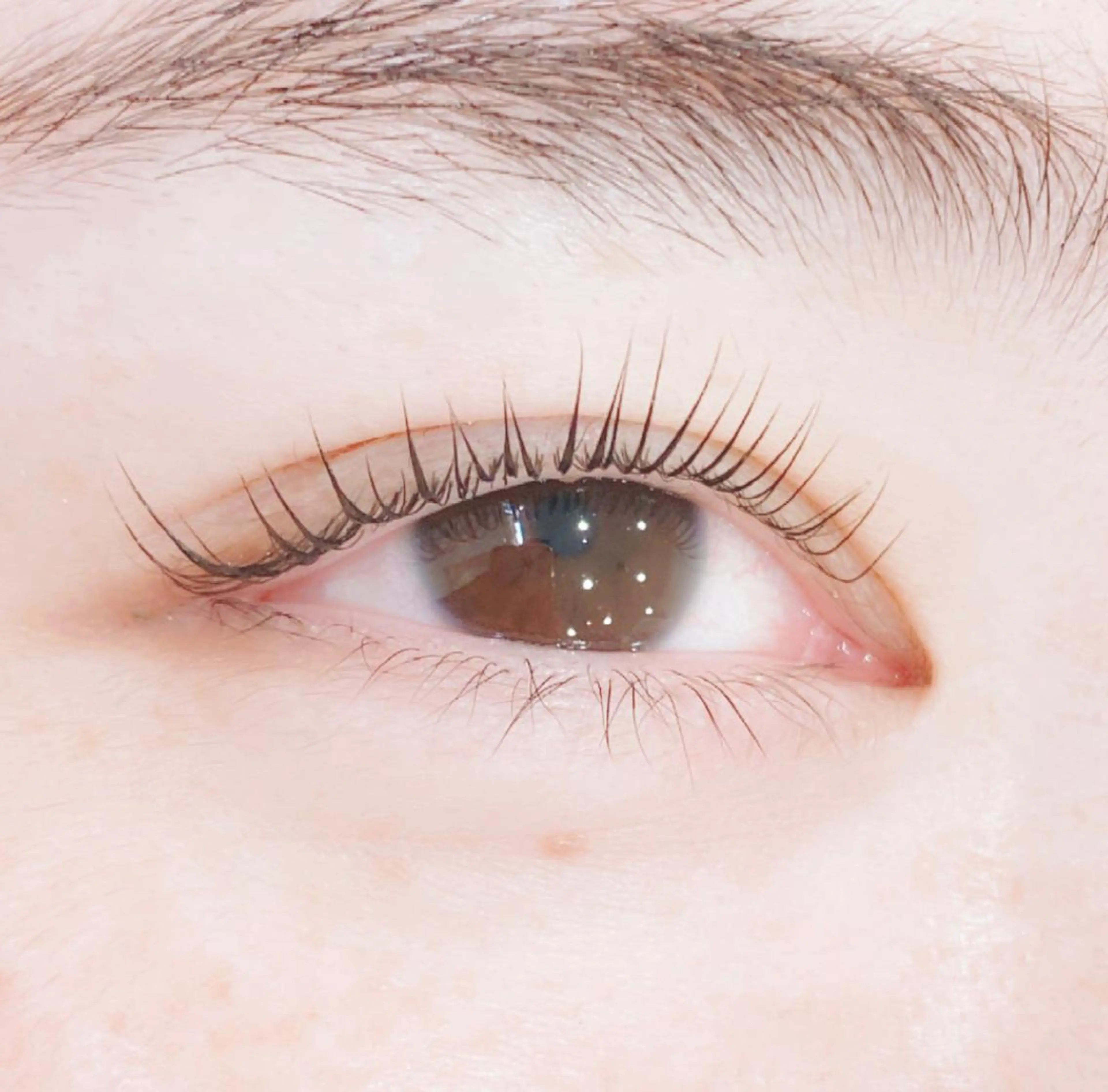 マツエク・マツパ PROGRESS 龍ヶ崎 小泉🦋のマツエク・マツパデザイン