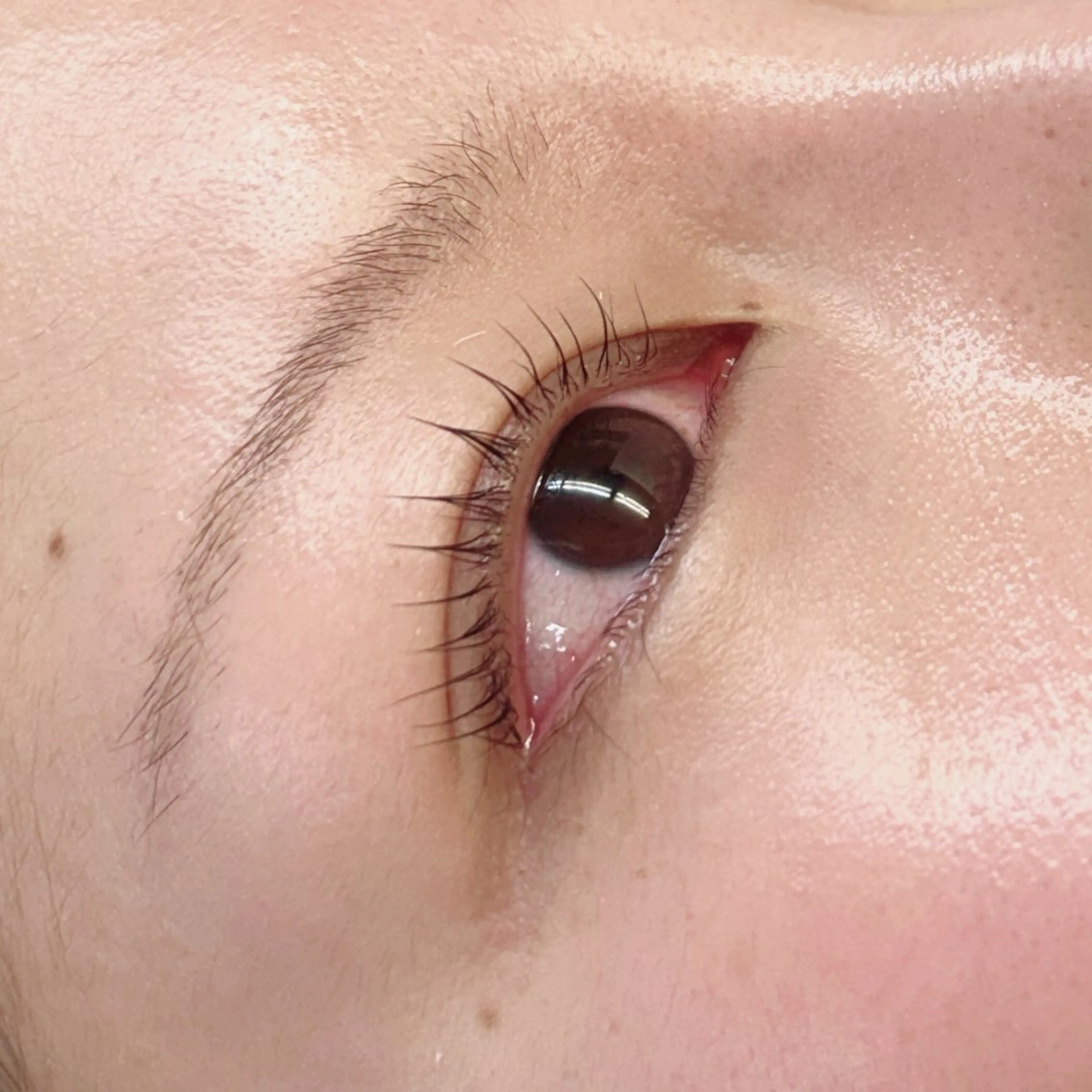 マツエク・マツパ 彩楓 /EYELA🪄ྀིのマツエク・マツパデザイン