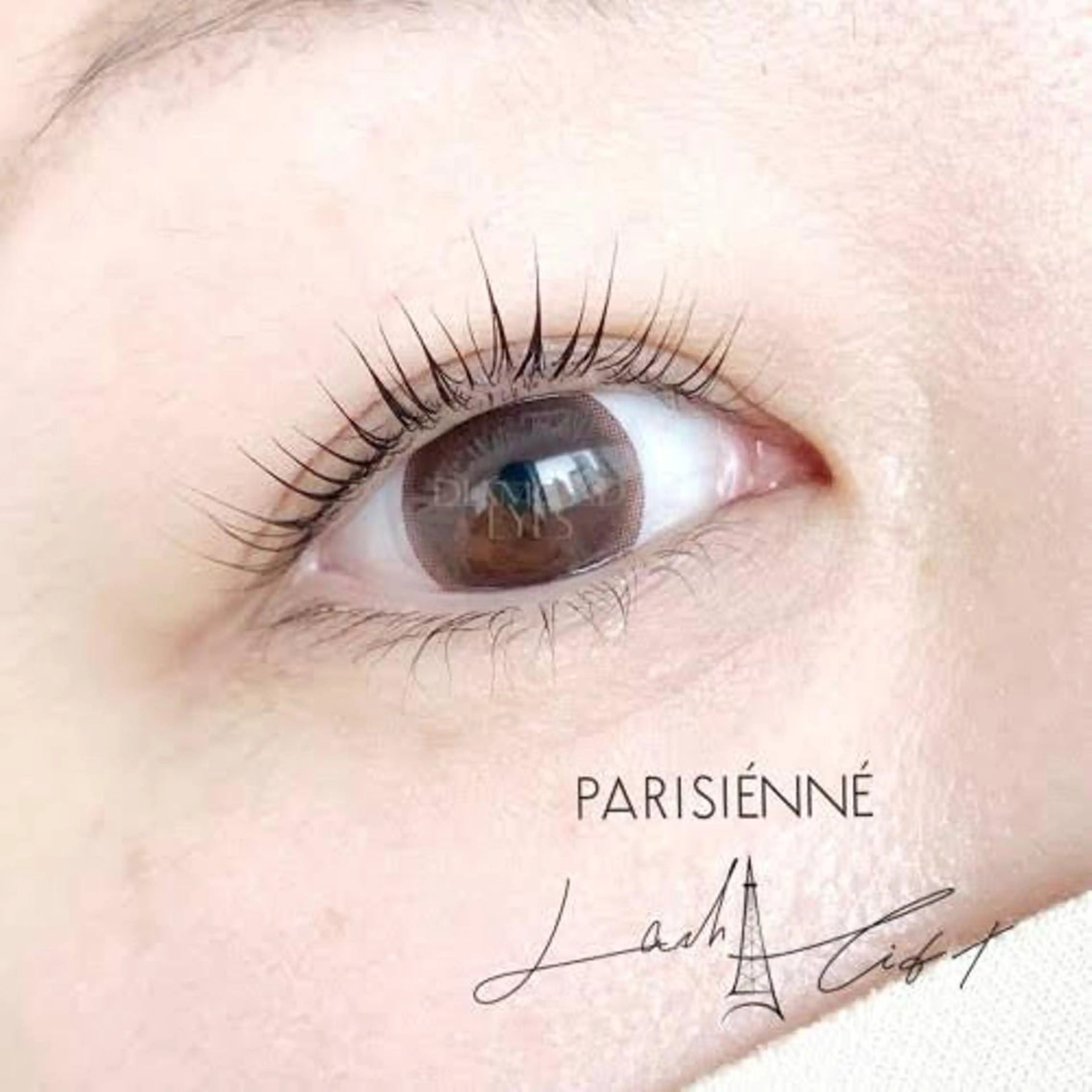 ラッシュリフト(まつ毛パーマ)➕次回から使える(5500円分)お得な割引チケット付き💎𓈒𓏸￤朝メイク時短🪞⟡.·の写真