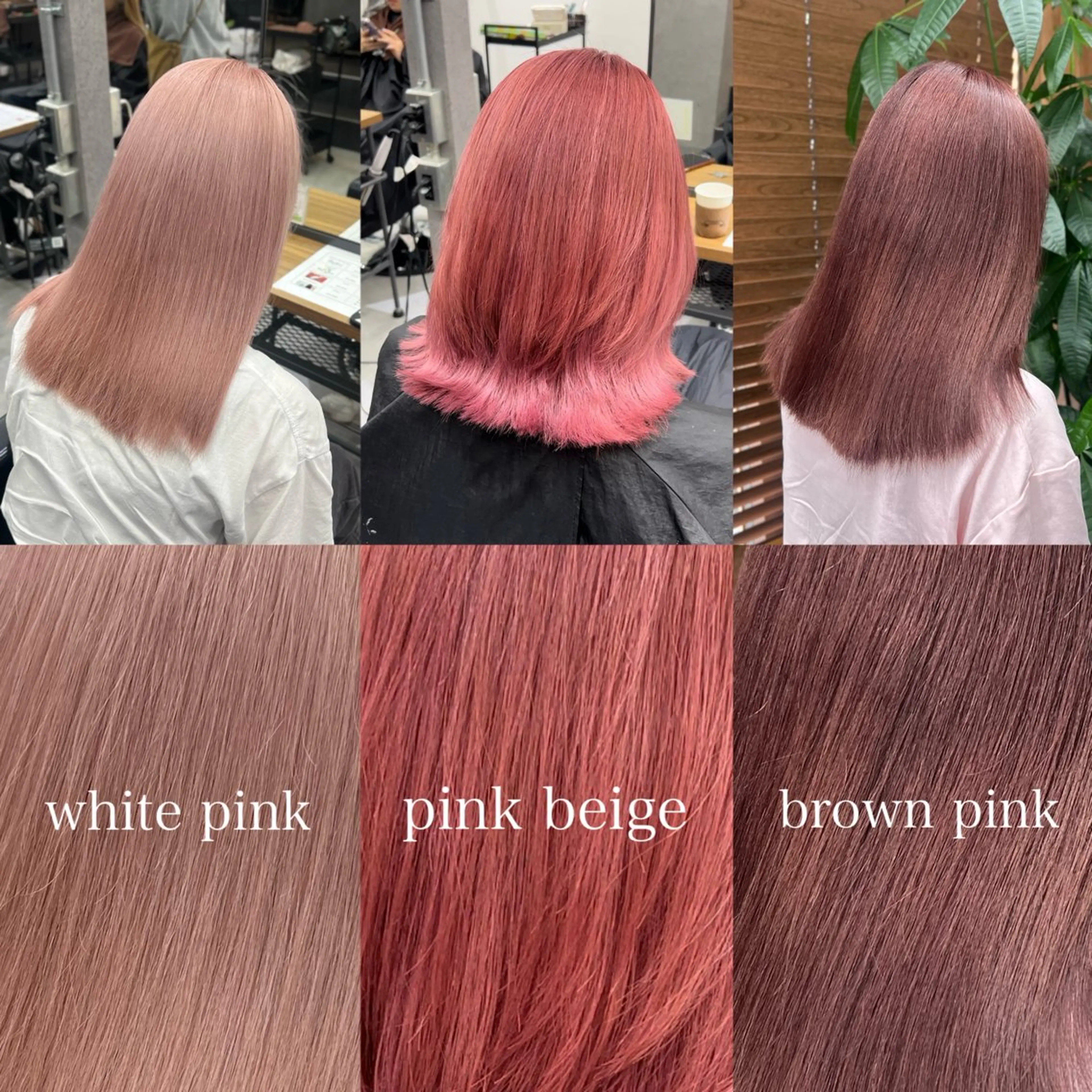 ミディアム カラー ショート/ウルフ カットモデル募集のヘアスタイル