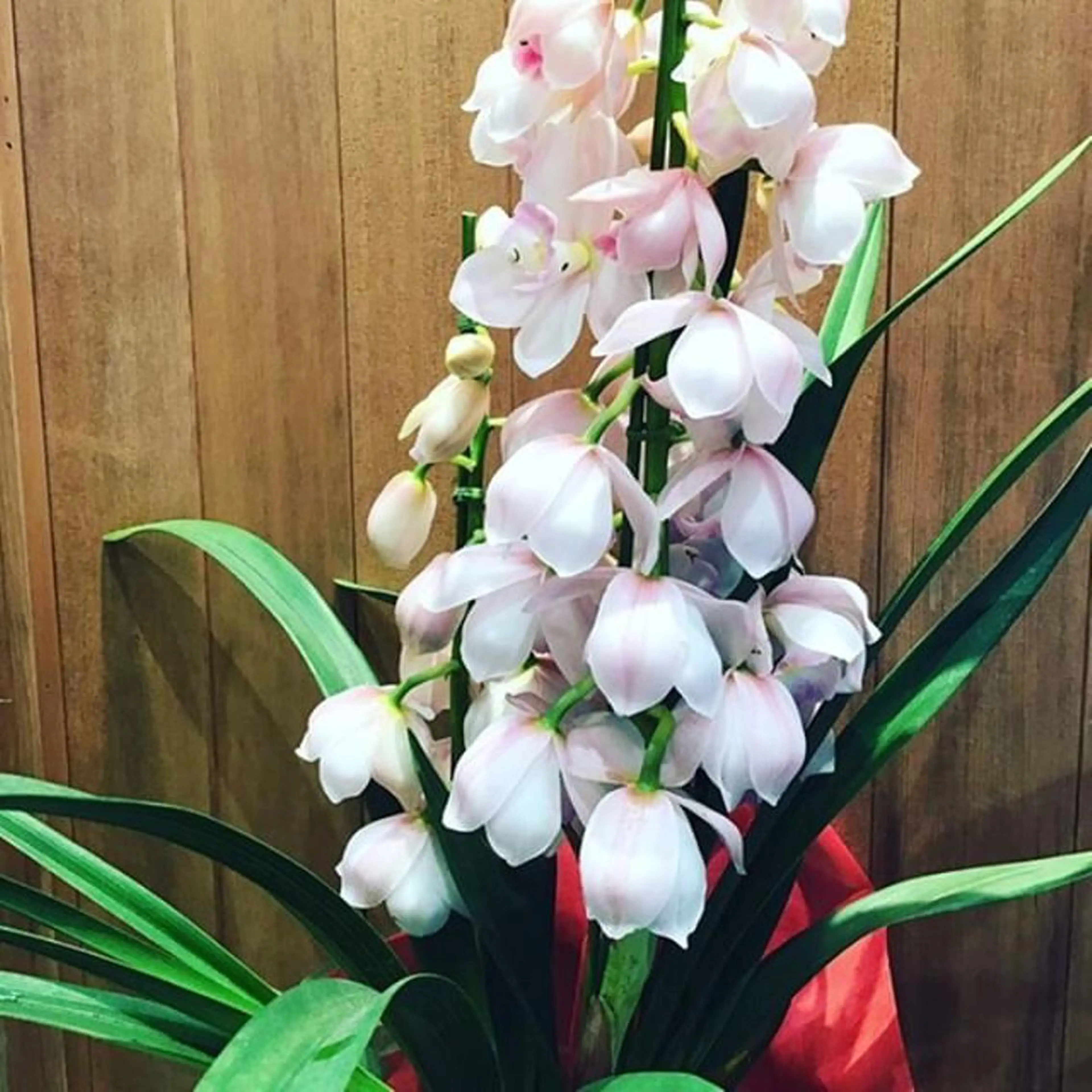 hair＆nail NO-MUのネイルデザイン