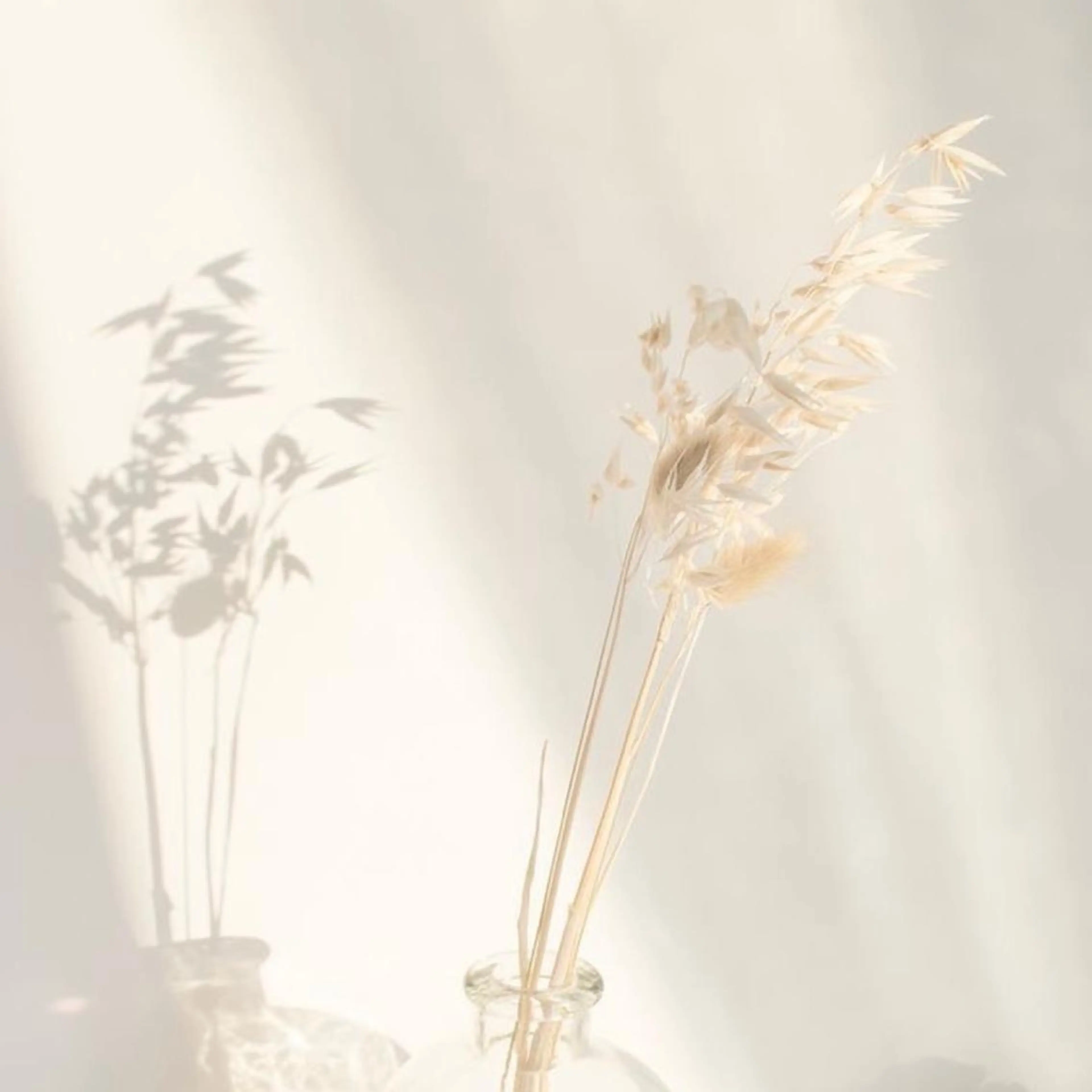 マツエク・マツパ ance 仙台のマツエク・マツパデザイン