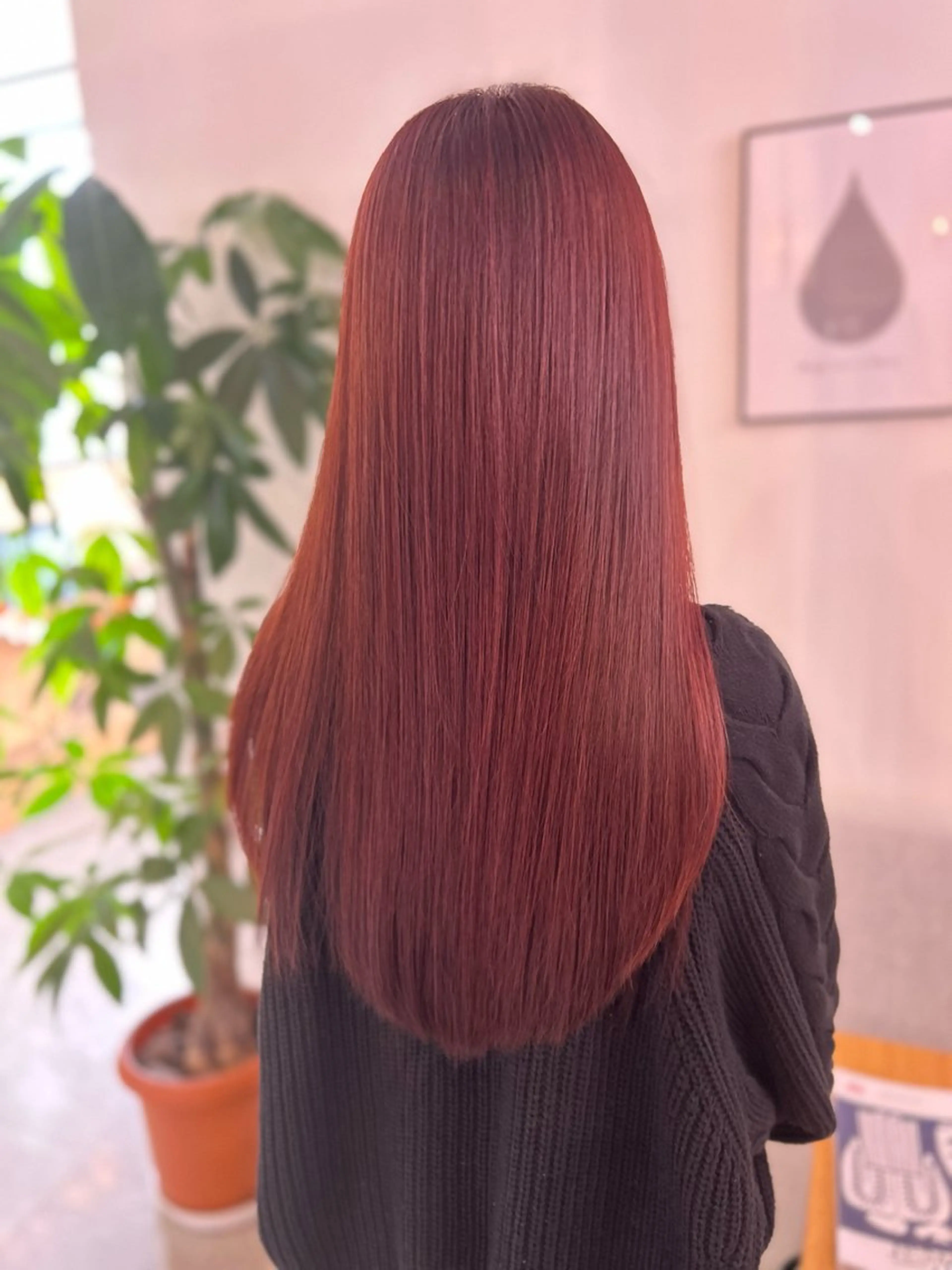 【本日限定】ダブルカラー(ブリーチ可)の写真