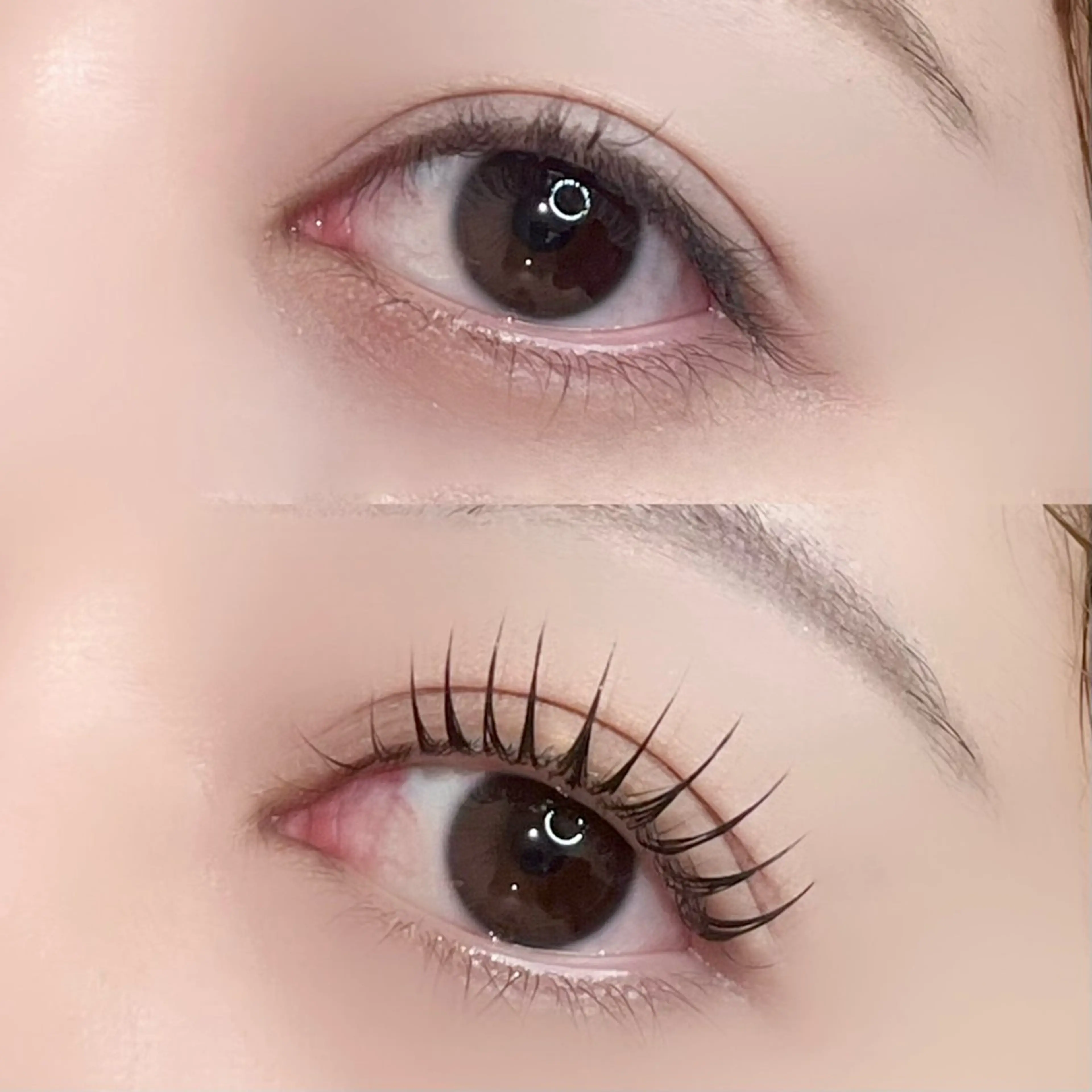 【minimo限定】まつげパーマ🎀束感コーティングお仕上げ🫧⚠︎︎現金のみの写真