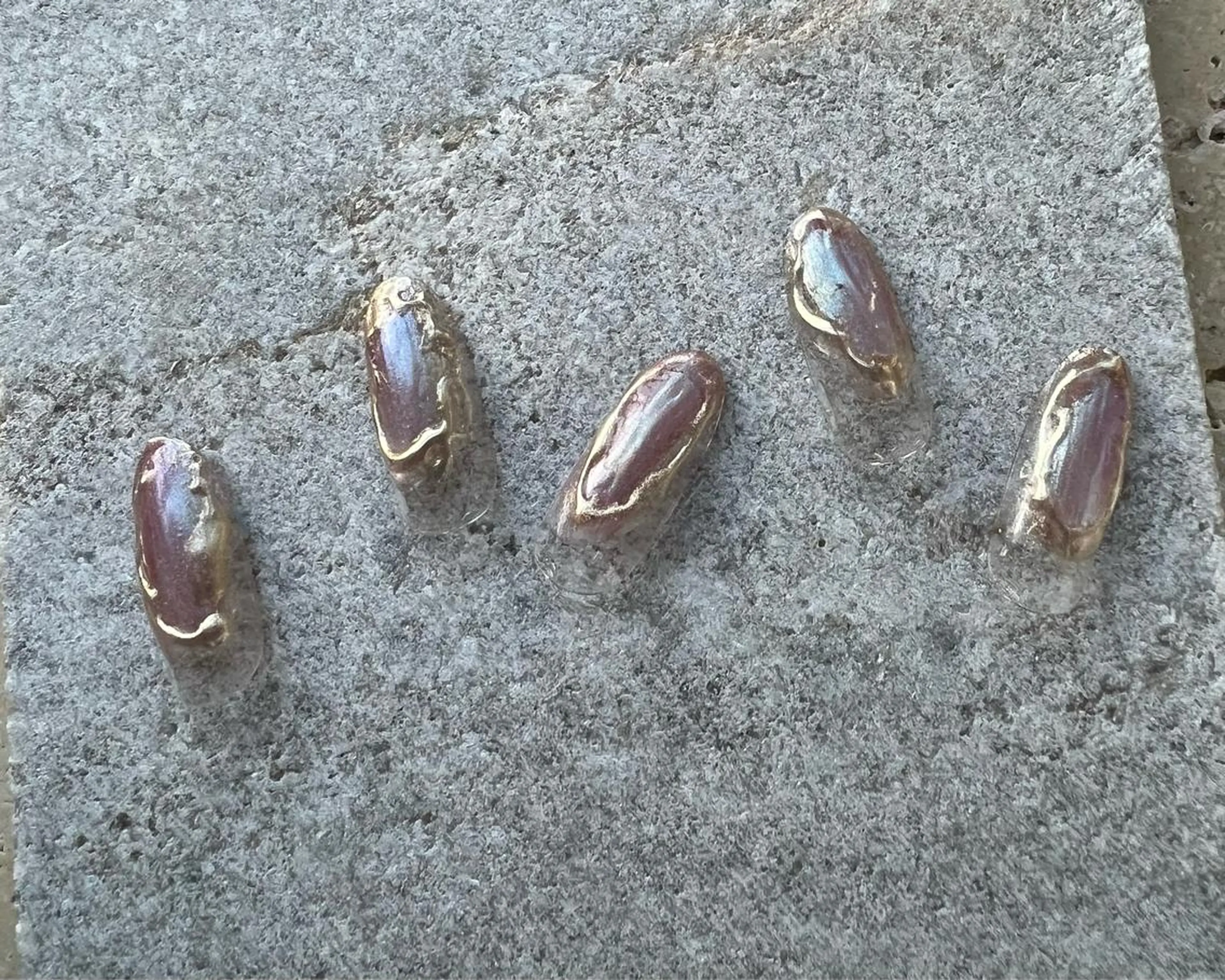 ネイル tree houseのネイルデザイン