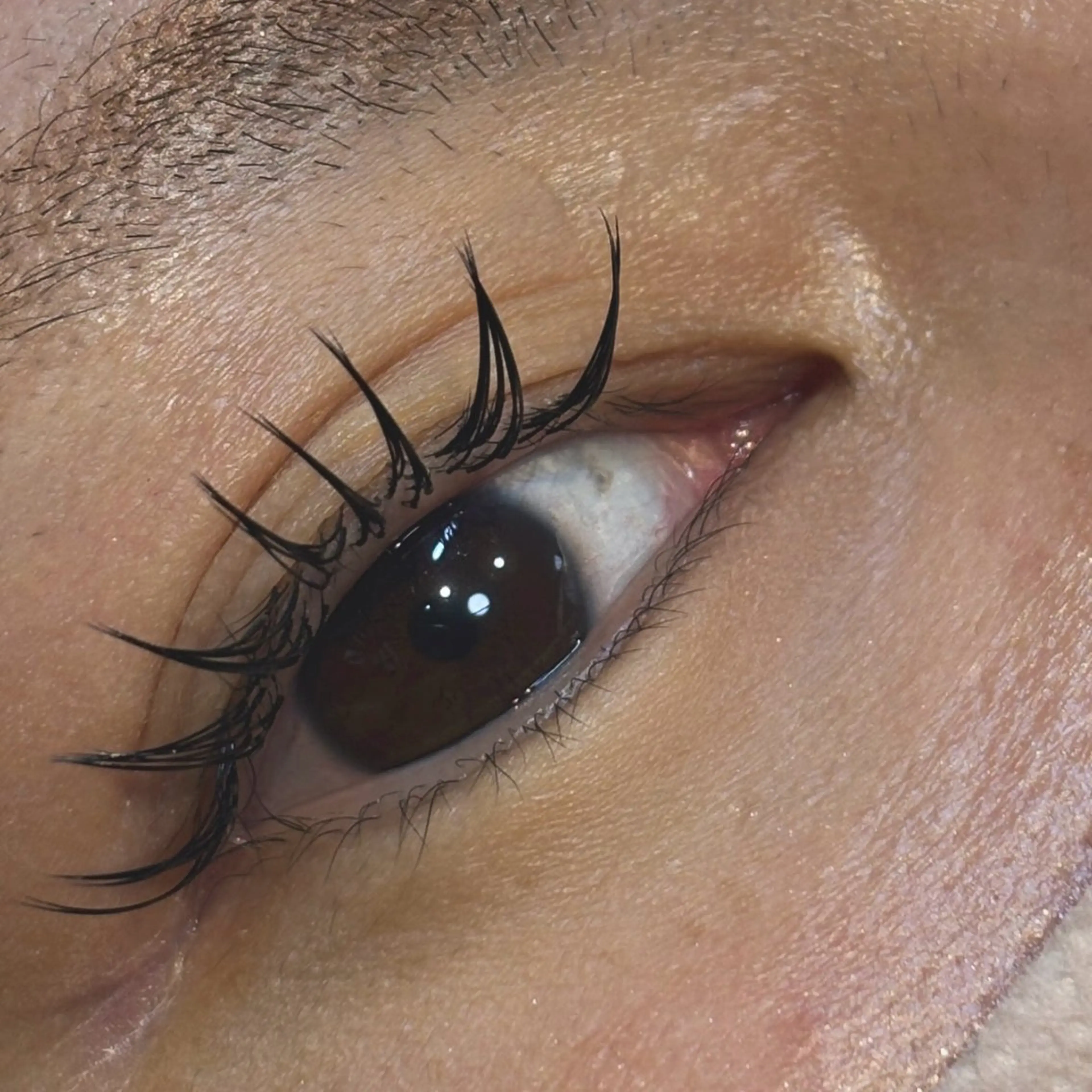 マツエク・マツパ セーブル G LUX 清水のマツエク・マツパデザイン