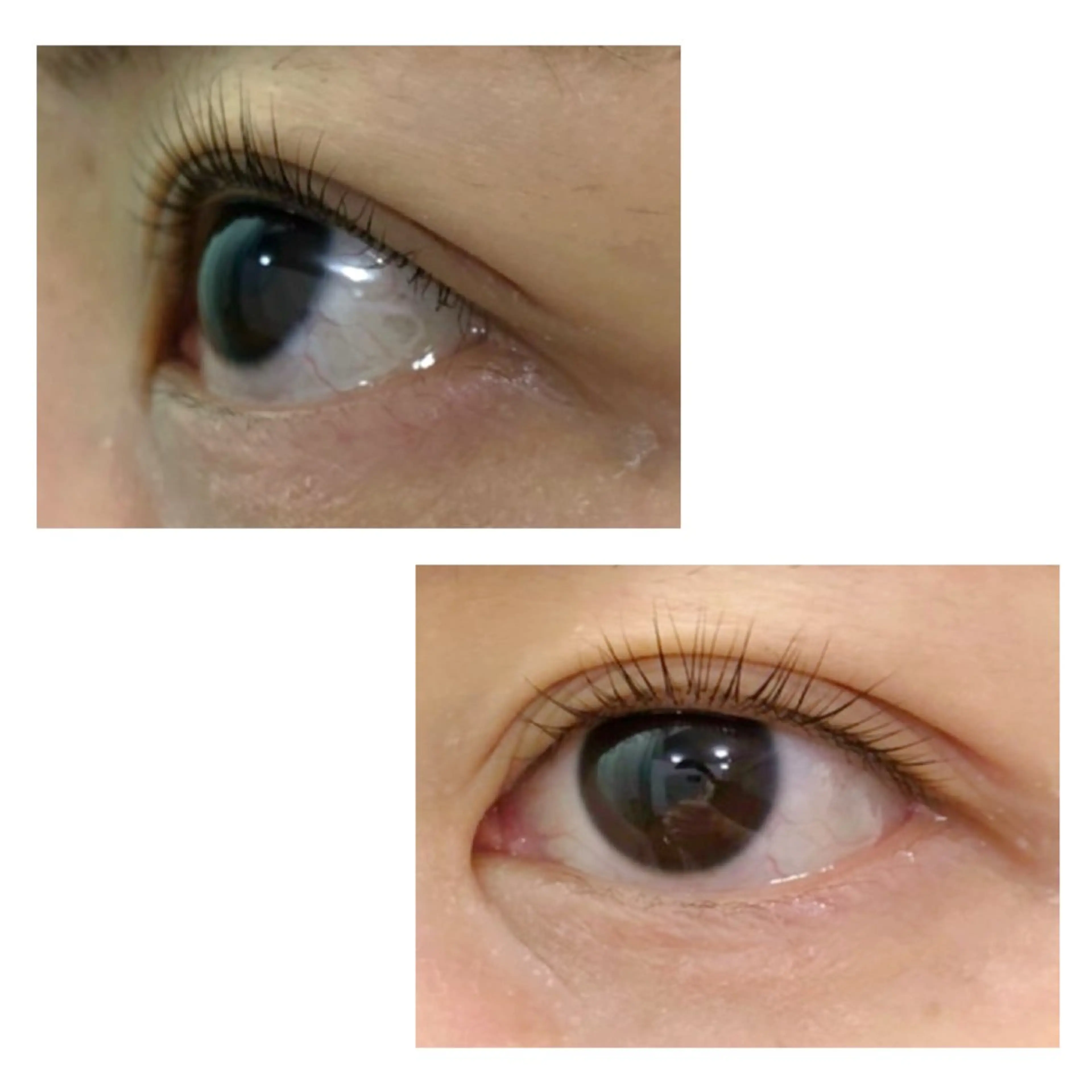 マツエク・マツパ Luz町田店 工藤の眉毛・アイブロウイメージ