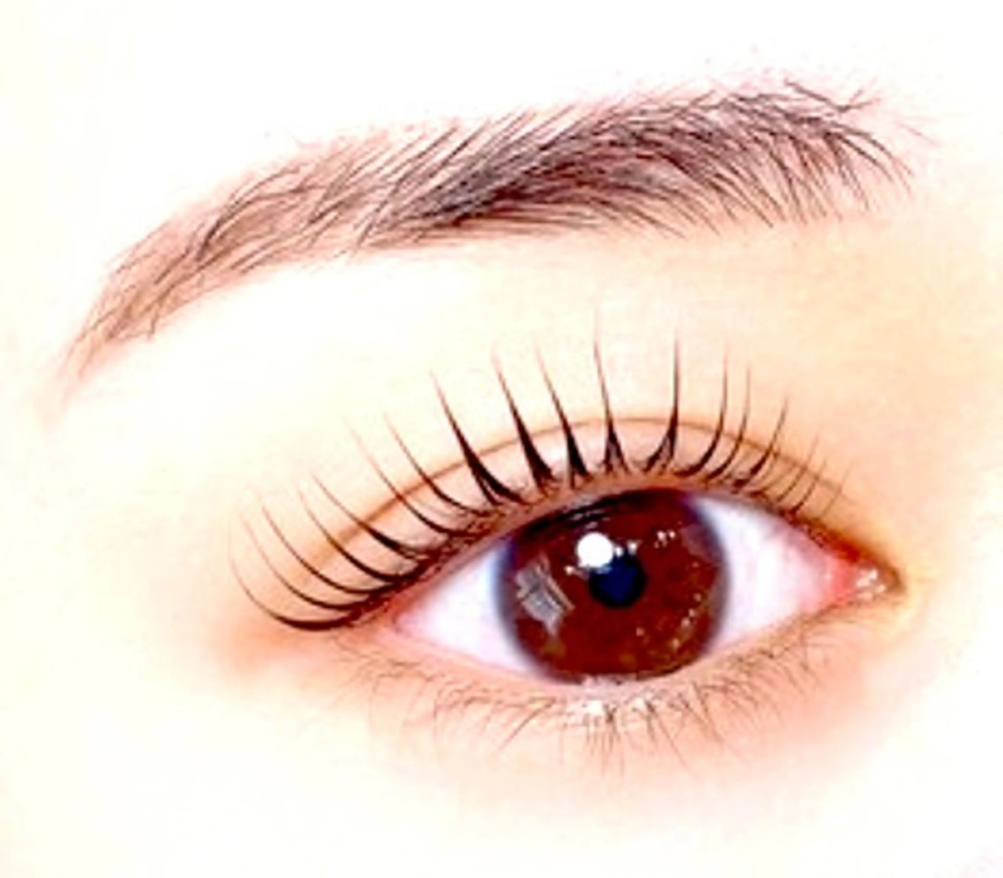 マツエク・マツパ eyelash sakuraの眉毛・アイブロウイメージ