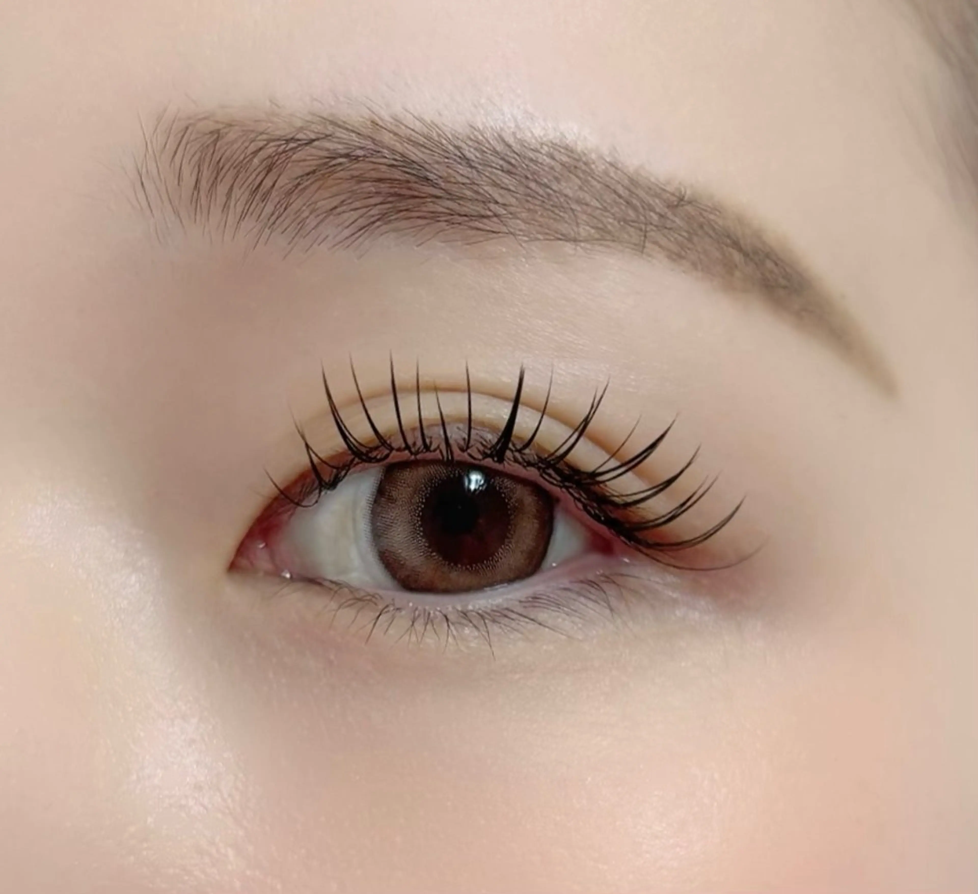 (オフ込み)セーブルエクステ🕊️上つけ放題の写真