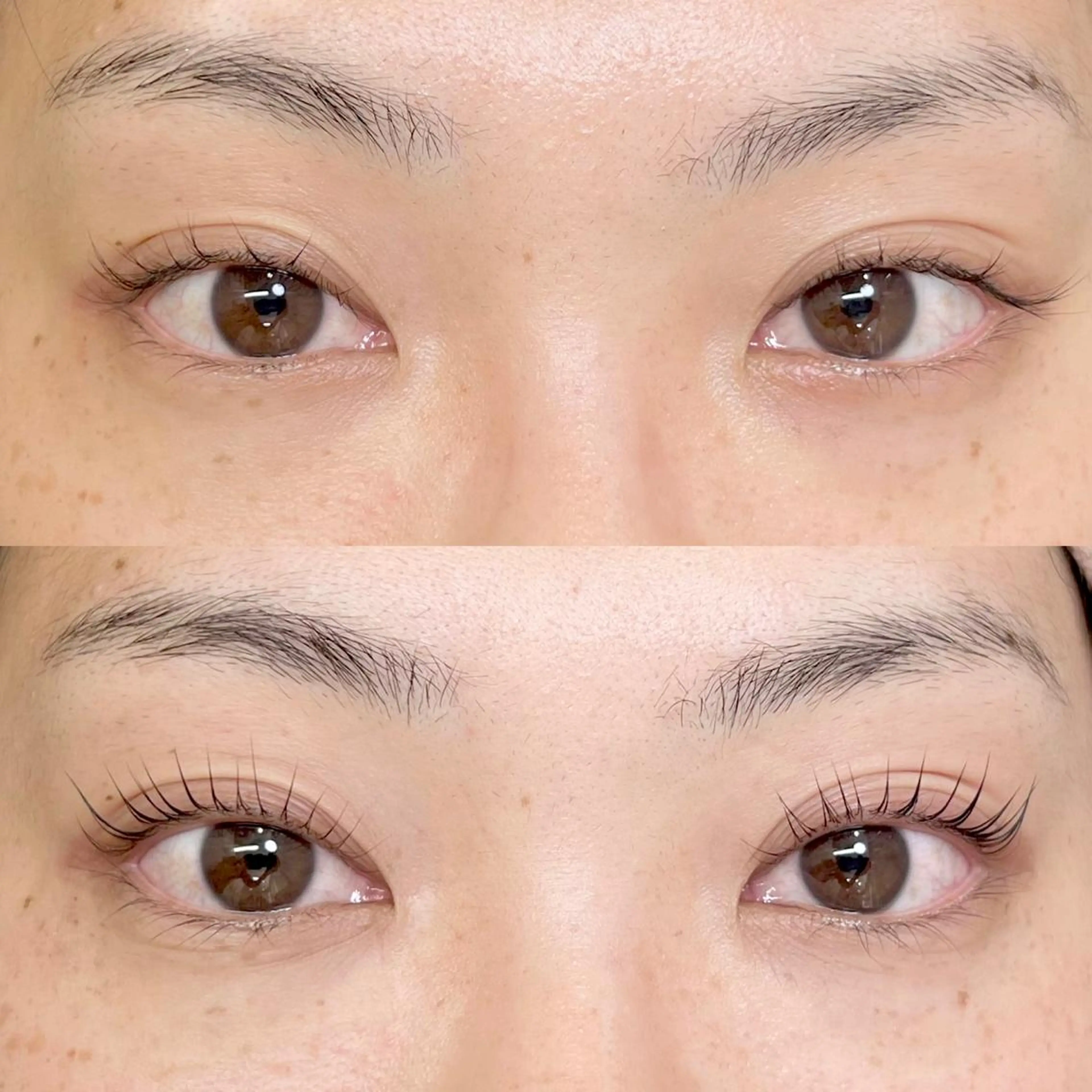 マツエク・マツパ アイブロウ フラットラッシュ パリジェンヌラッシュリフト まつげパーマ 下まつげエクステ 一重×まつ毛パーマ マツパ Cherie Kawaguchiのマツエク・マツパデザイン