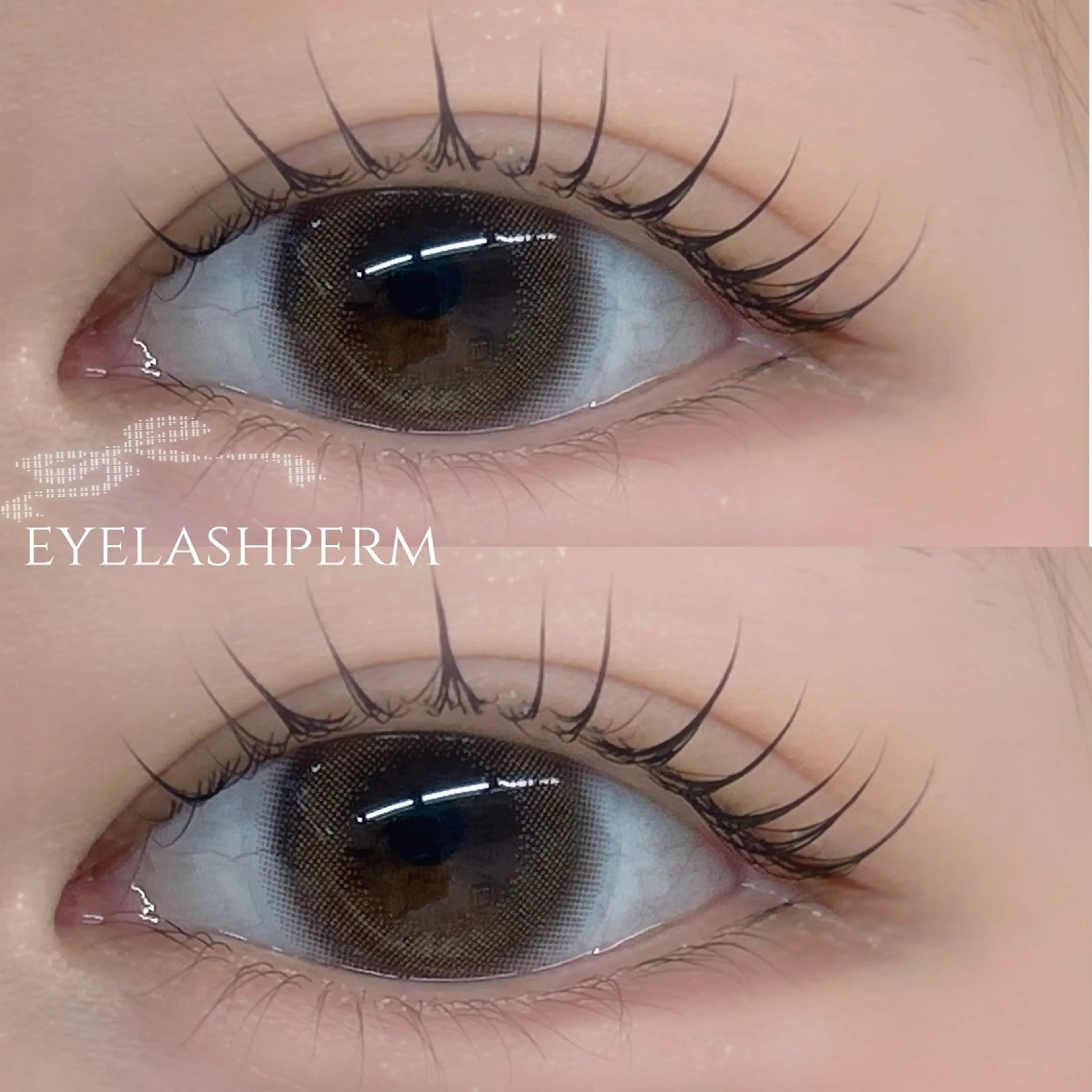 【まつげパーマ上のみ🍀*】🇰🇷韓国風束感仕上げ🫶🏻ぱっちりおめ元に👀🪞／川越駅徒歩3分の写真