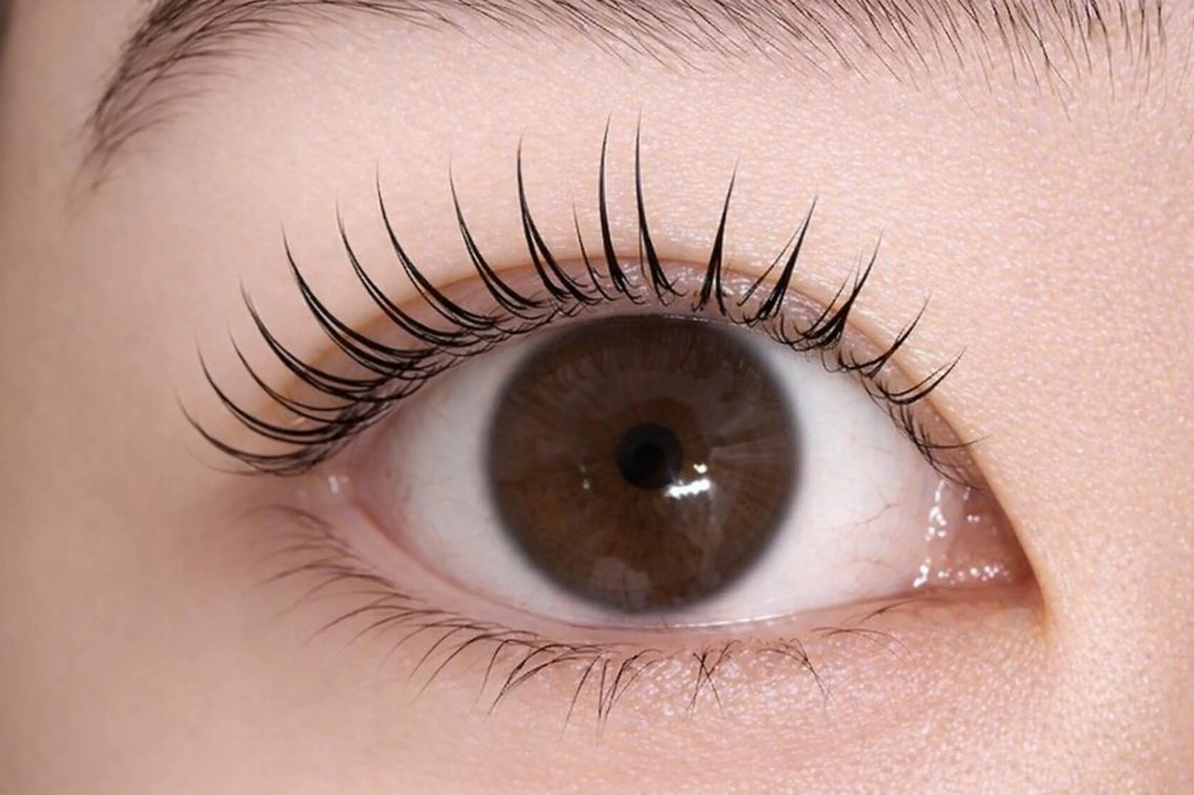 🌸セットメニュー🌸上下パーマor上下パリジェンヌ🌟の写真