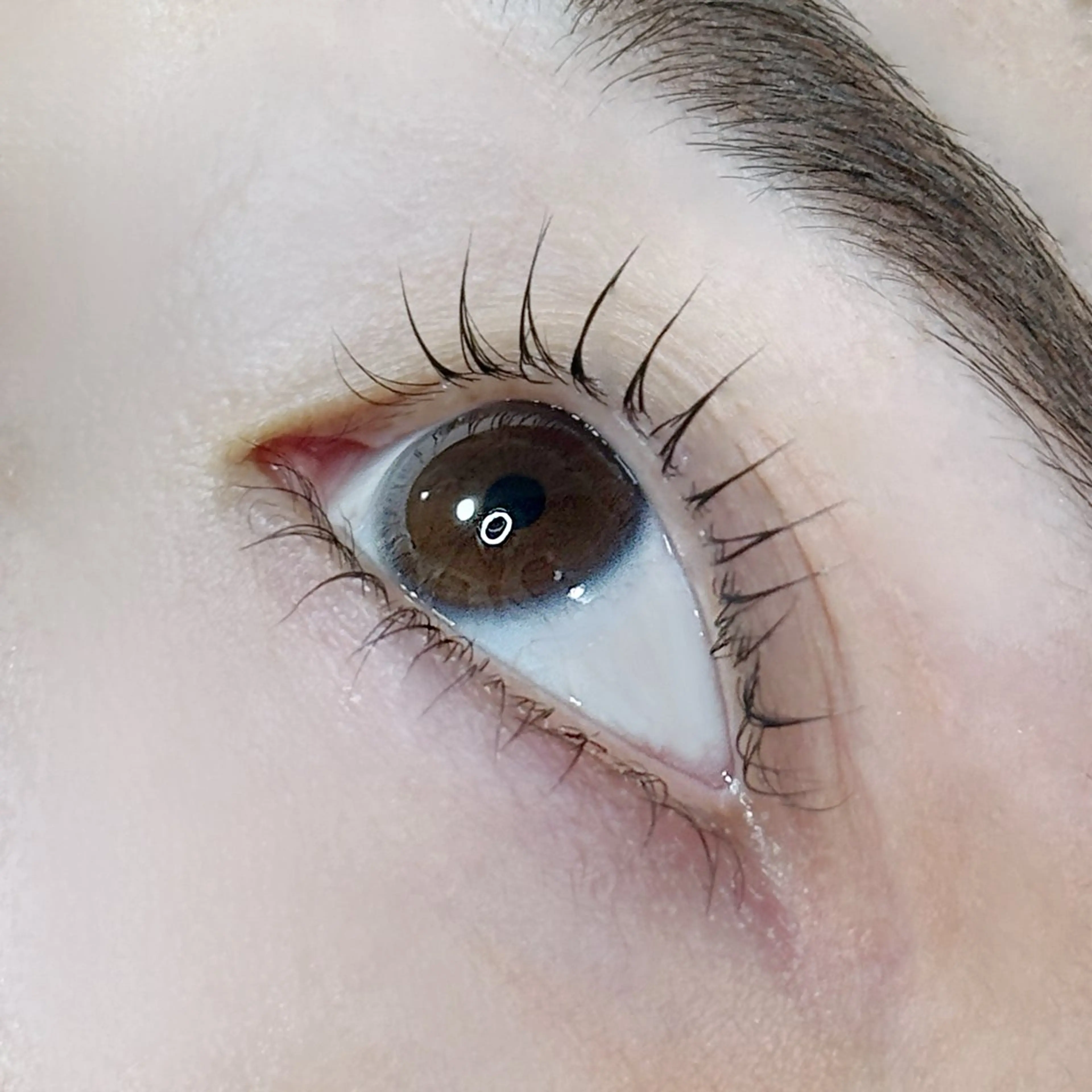 マツエク・マツパ Akari 🖤練習モデル募集中の眉毛・アイブロウイメージ