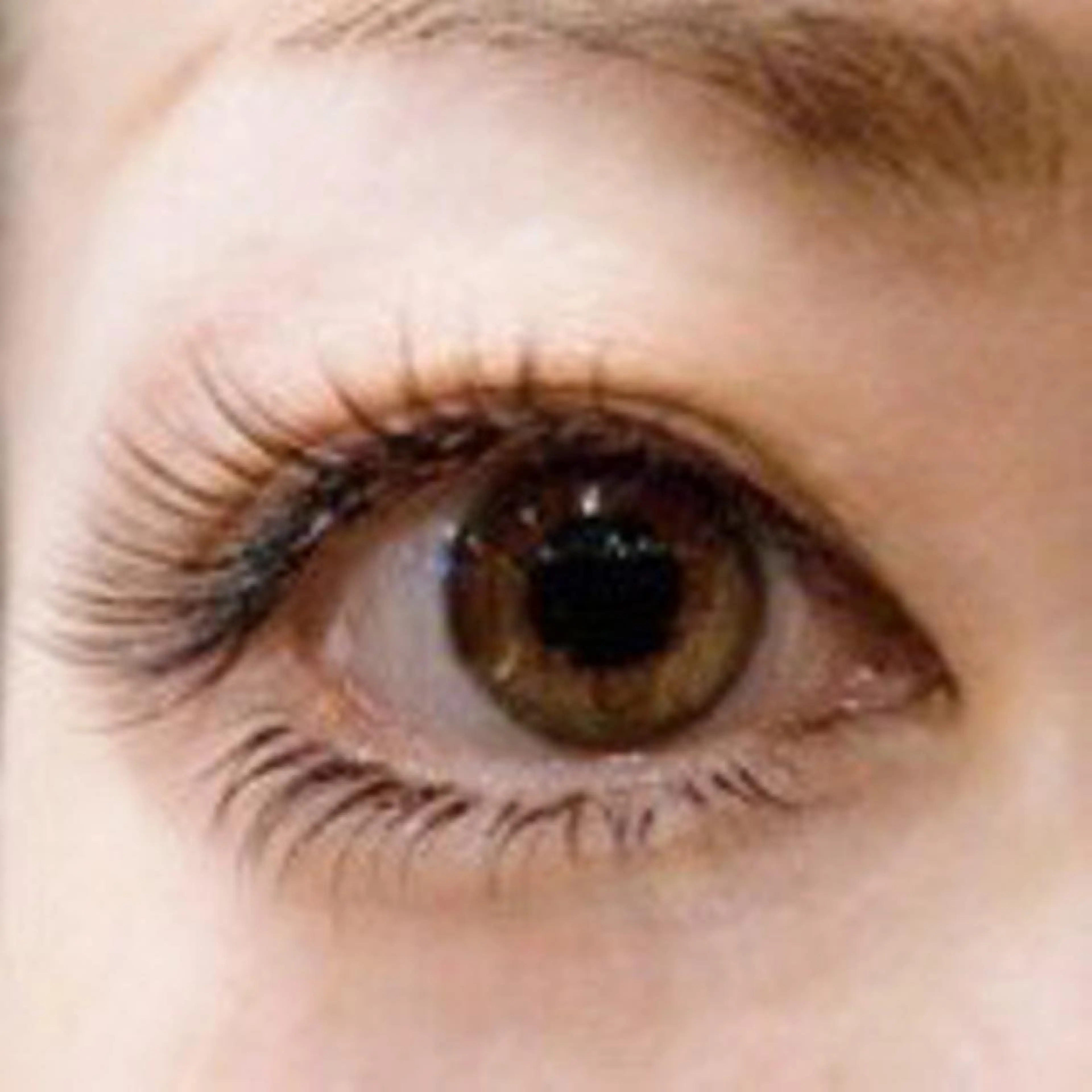 マツエク・マツパ フラットラッシュ 羽賀 美和のマツエク・マツパデザイン