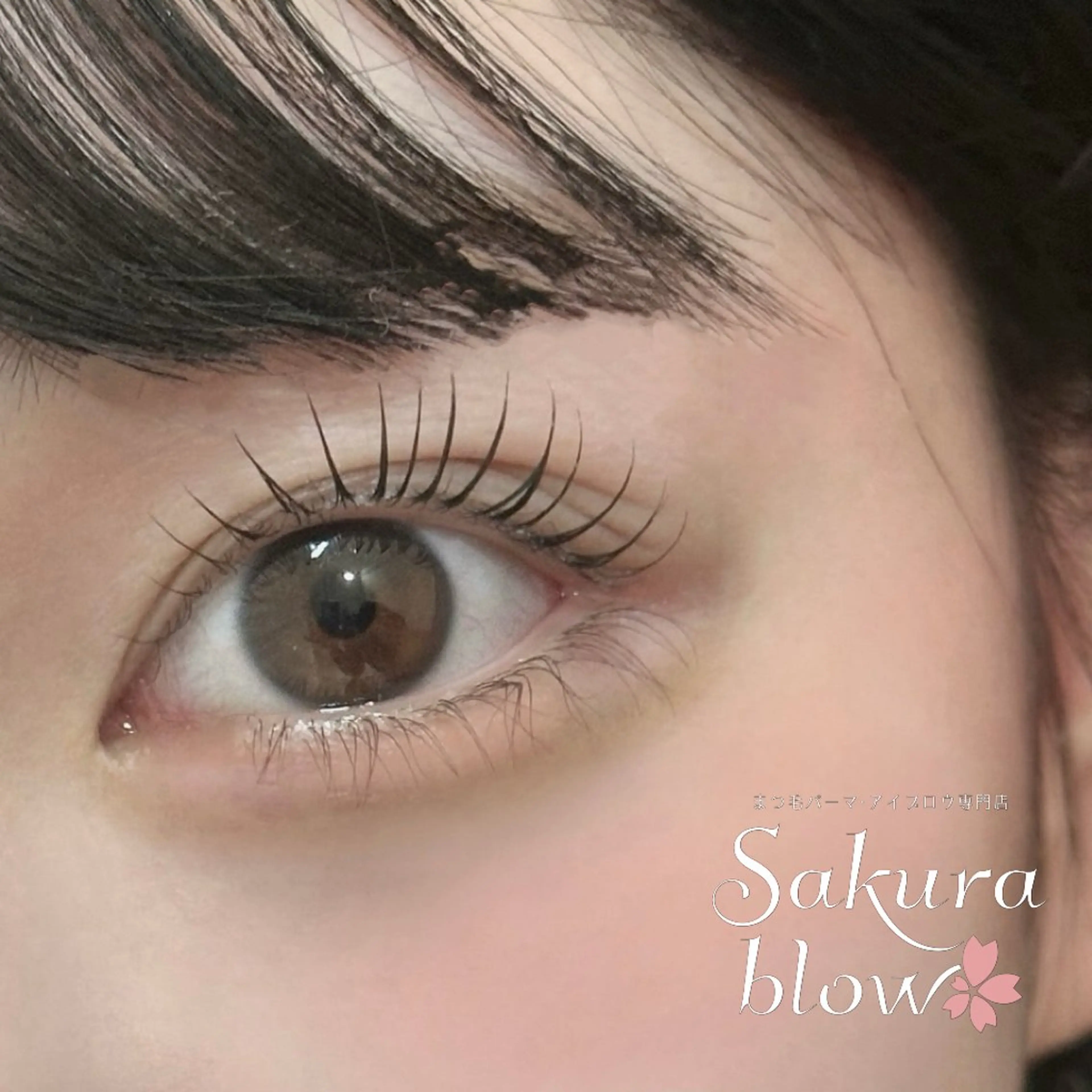 マツエク・マツパ サクラブロウ 心斎橋のマツエク・マツパデザイン