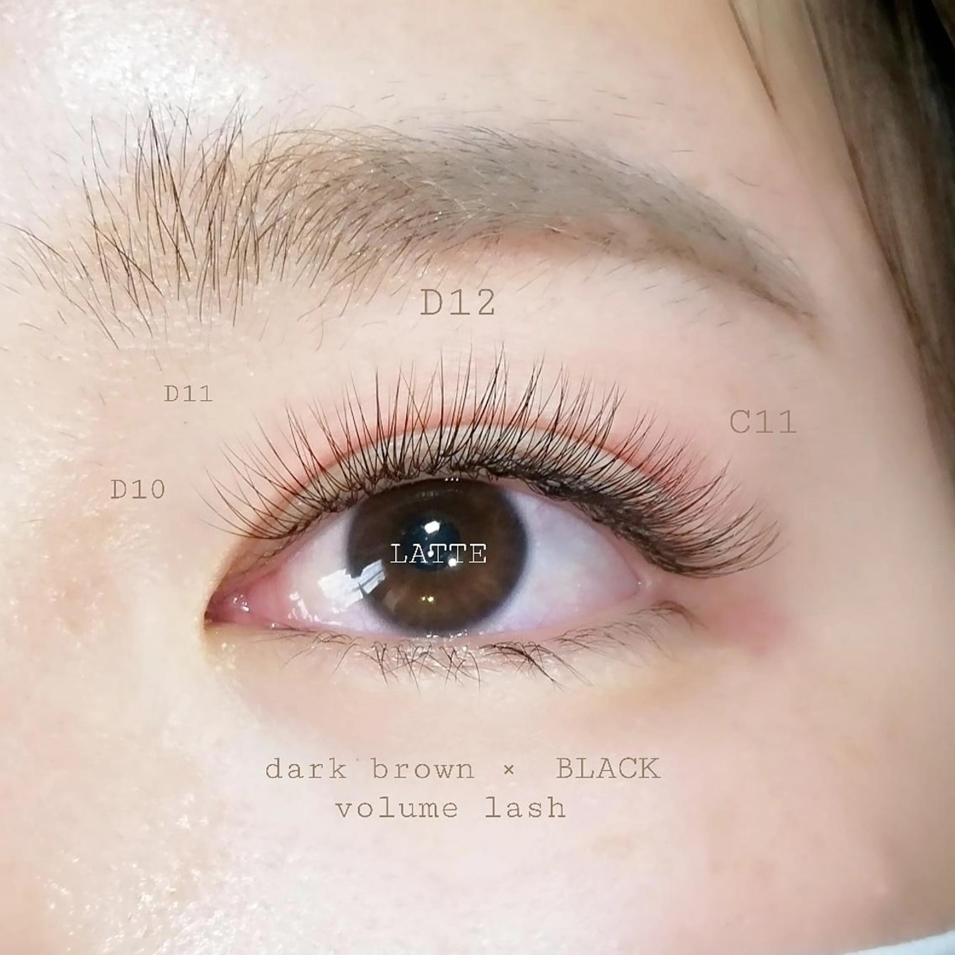 マツエク・マツパ カラーマツエク ボリュームラッシュ LATTE eyelashのマツエク・マツパデザイン