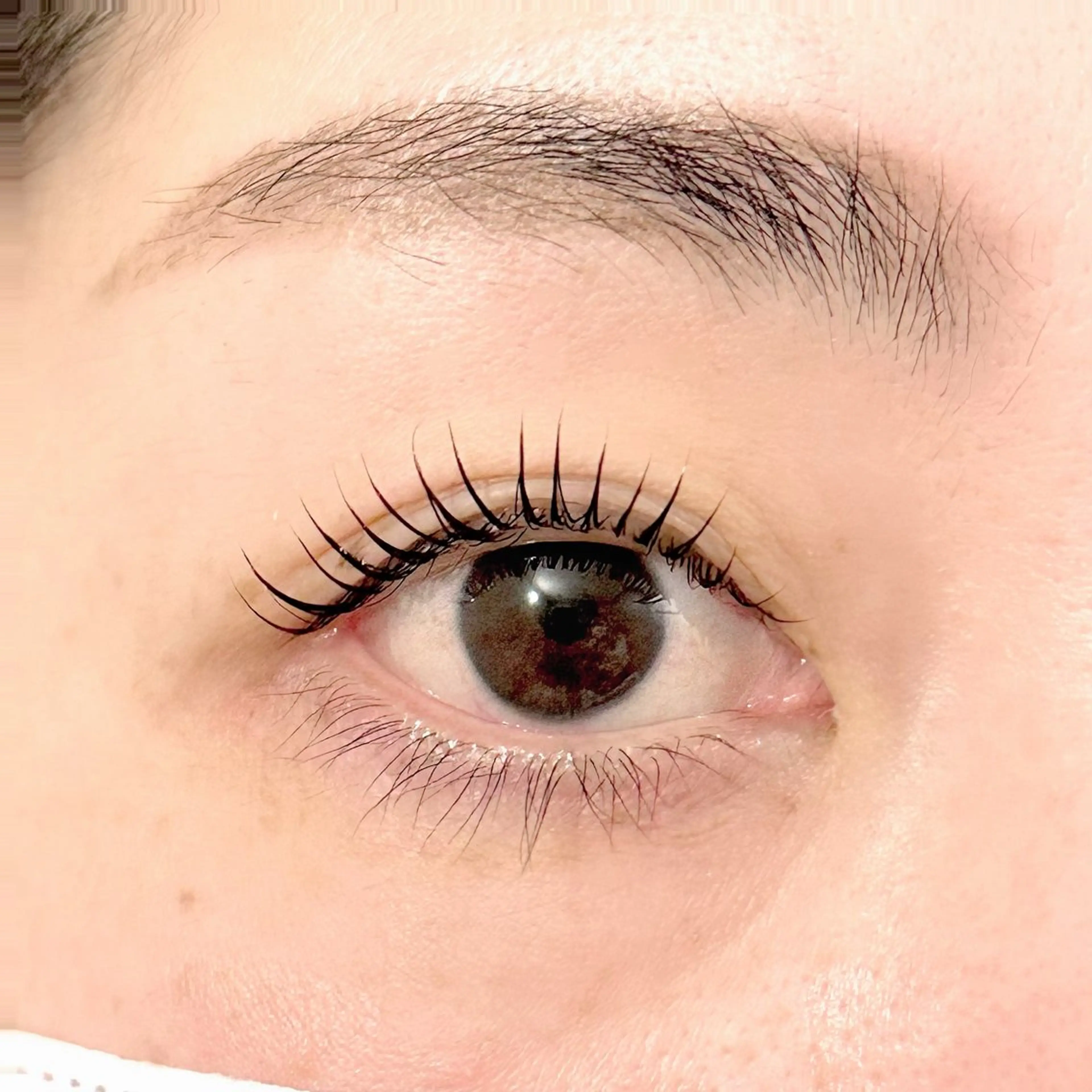 マツエク・マツパ マツパ SHIINA .のマツエク・マツパデザイン