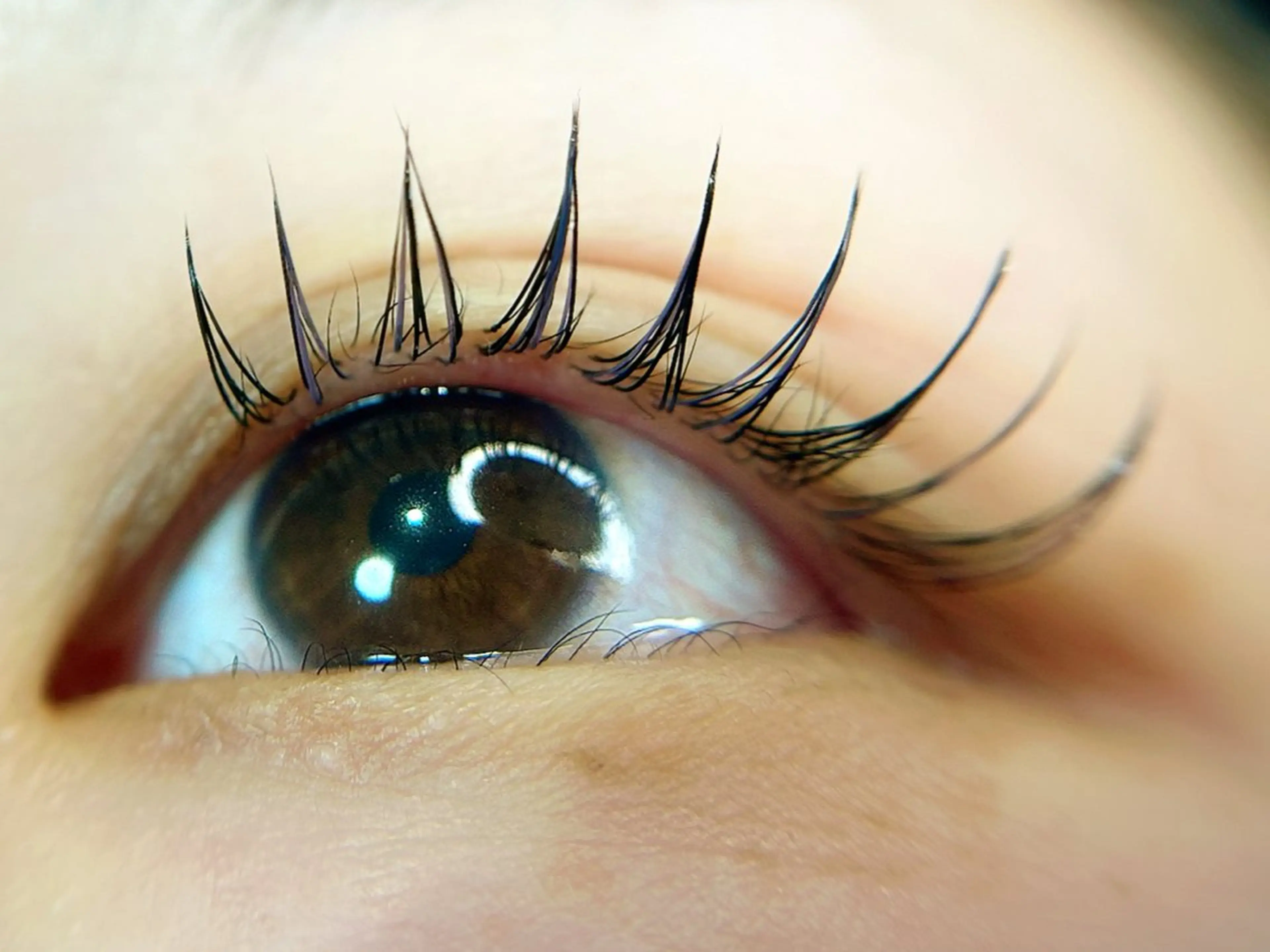 マツエク・マツパ マツエク K&E lashe /大垣　まつ毛、眉毛のマツエク・マツパデザイン