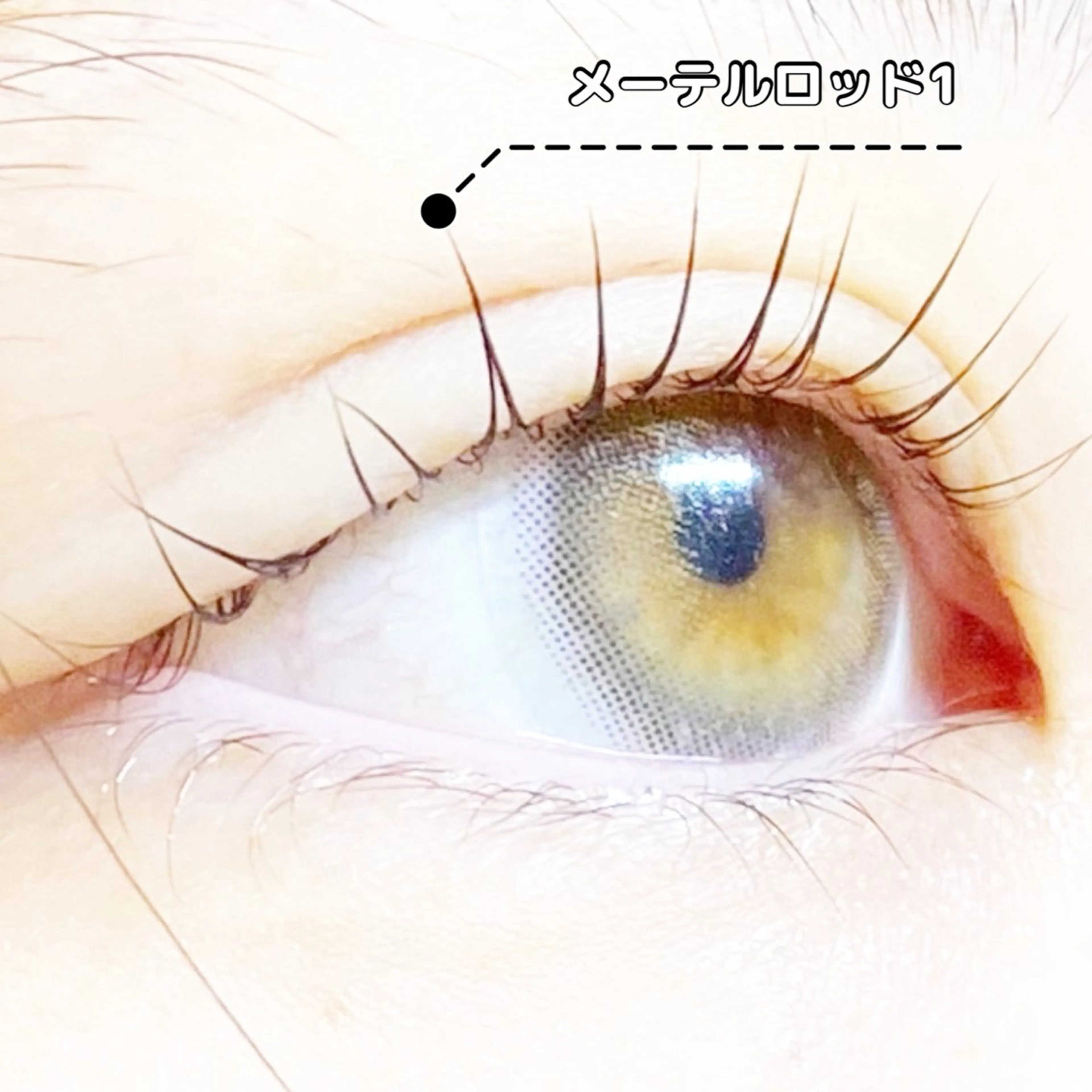 マツエク・マツパ LC尾張旭店🫧 いしいのマツエク・マツパデザイン