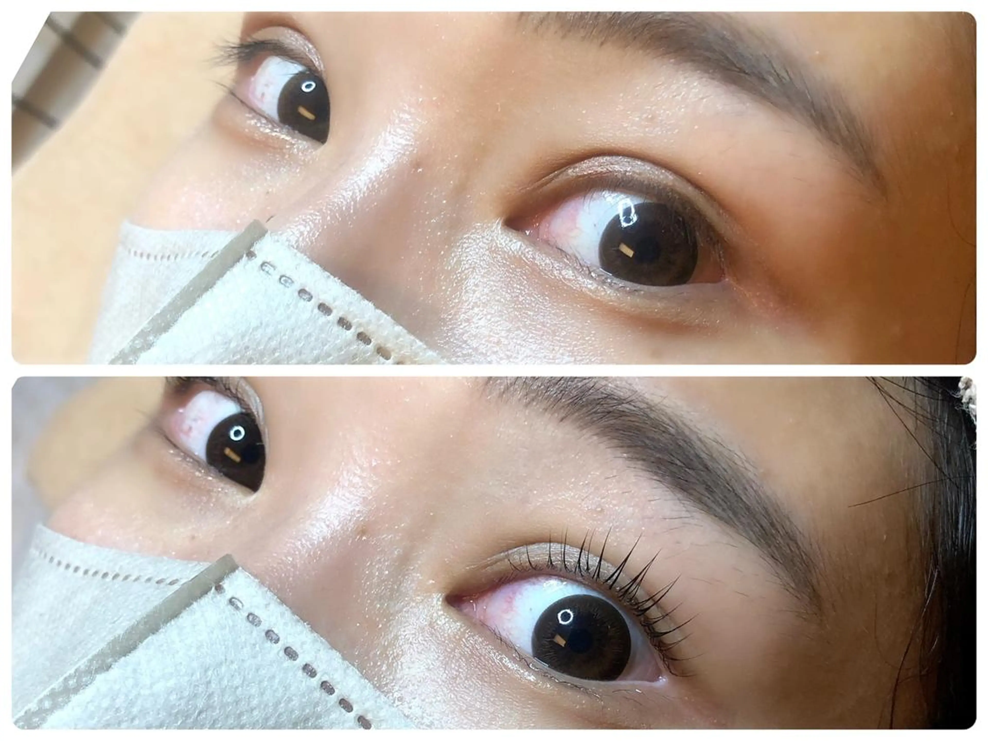 当日限定⭐️パリジェンヌ 人気No.1👑の写真