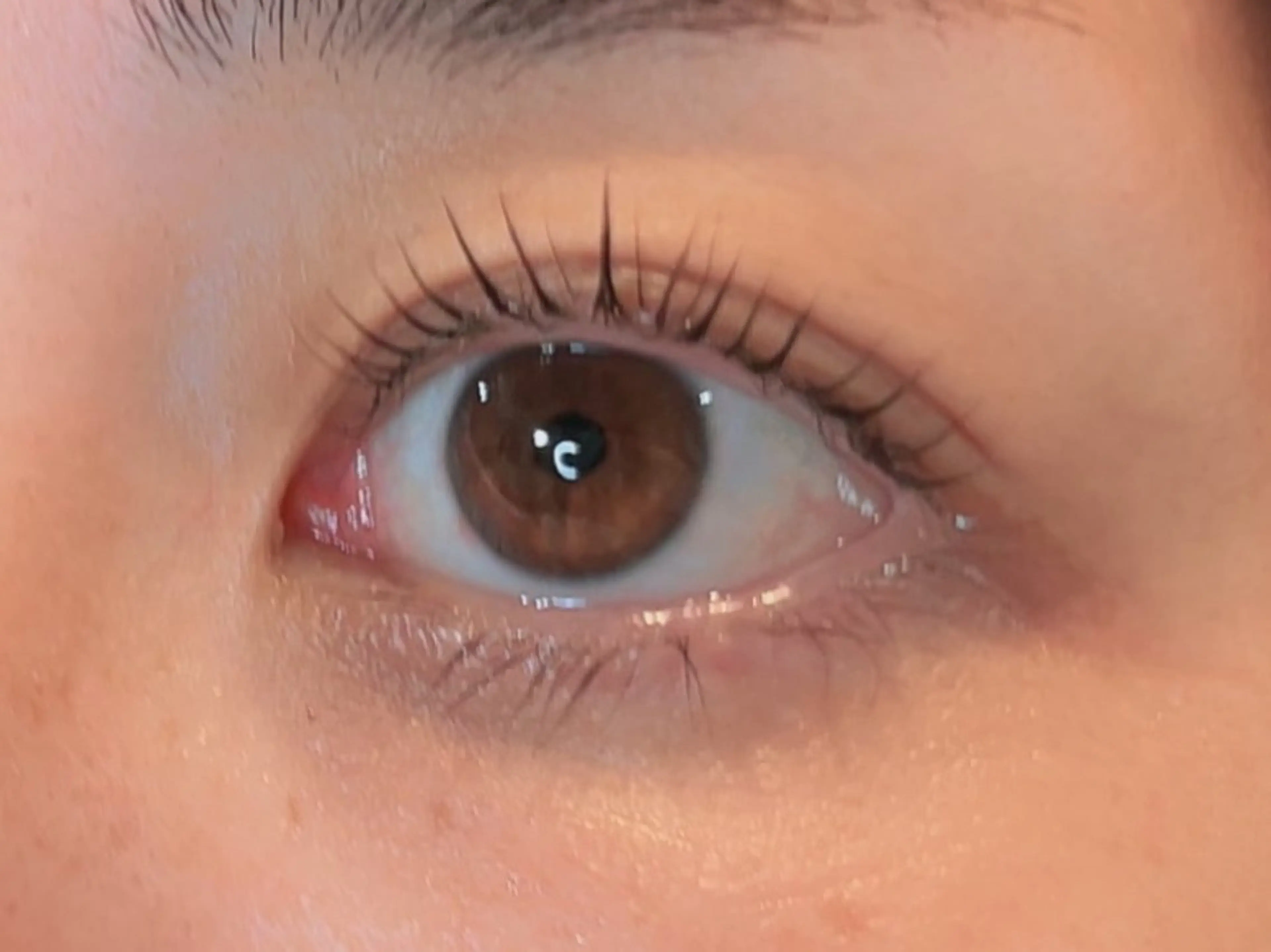 マツエク・マツパ FERNA フェルナのネイルデザイン