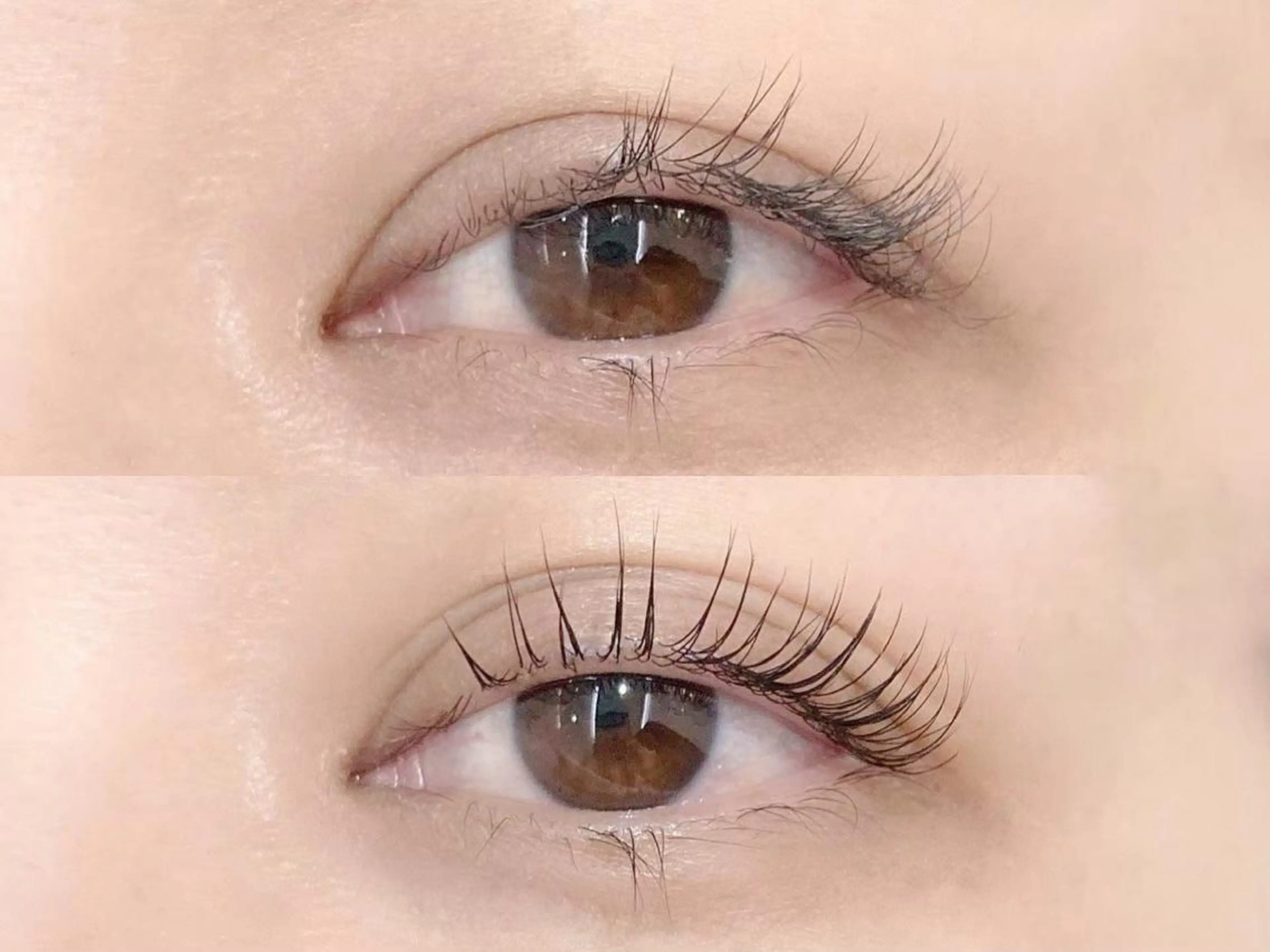 マツエク・マツパ 一重×まつ毛パーマ 白潟 (シラガタ)の眉毛・アイブロウイメージ