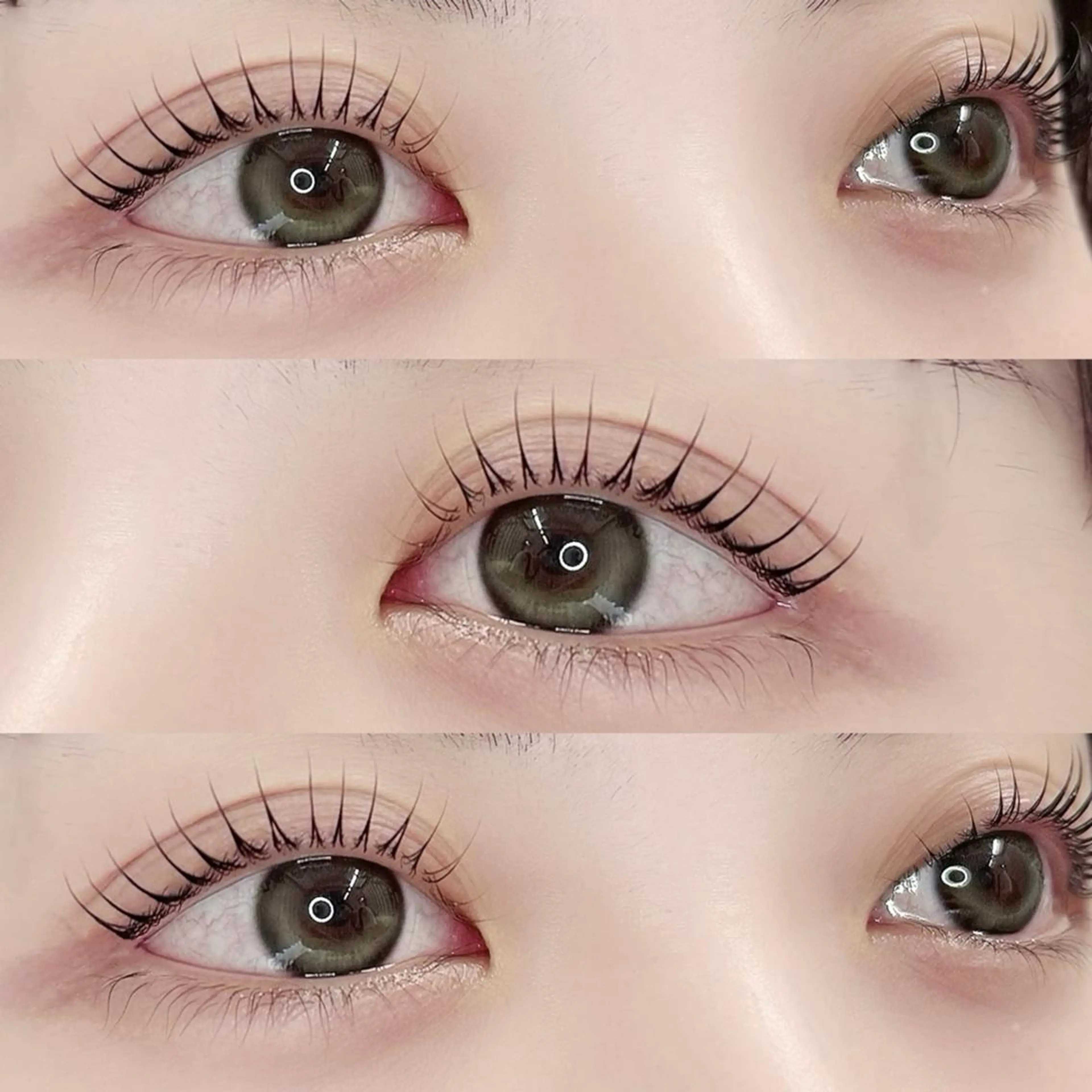 🐥miu限定🐥パリジェンヌorラッシュリフト（練習モデル）の写真