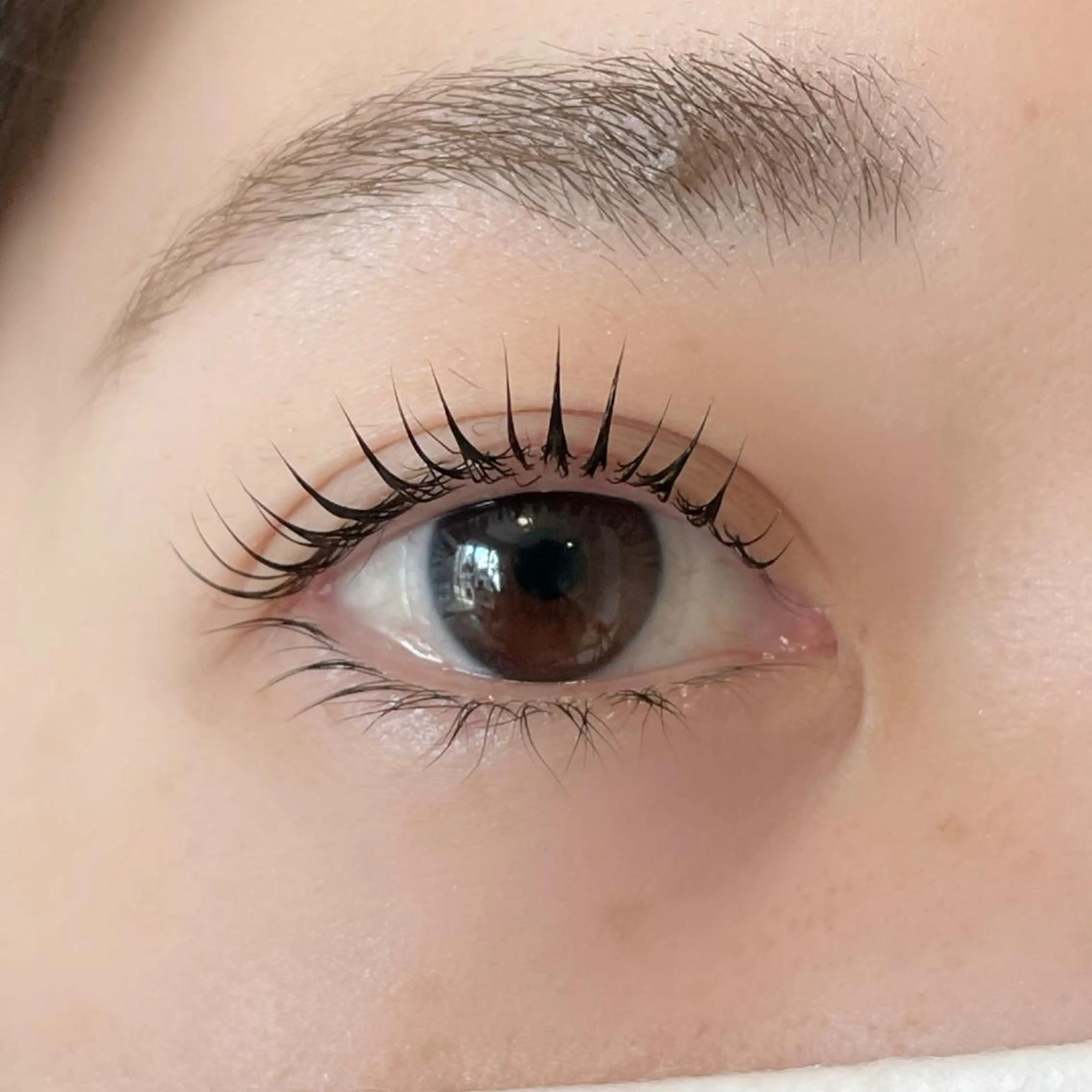 マツエク・マツパ ケラチンラッシュリフト noa shizukaのマツエク・マツパデザイン