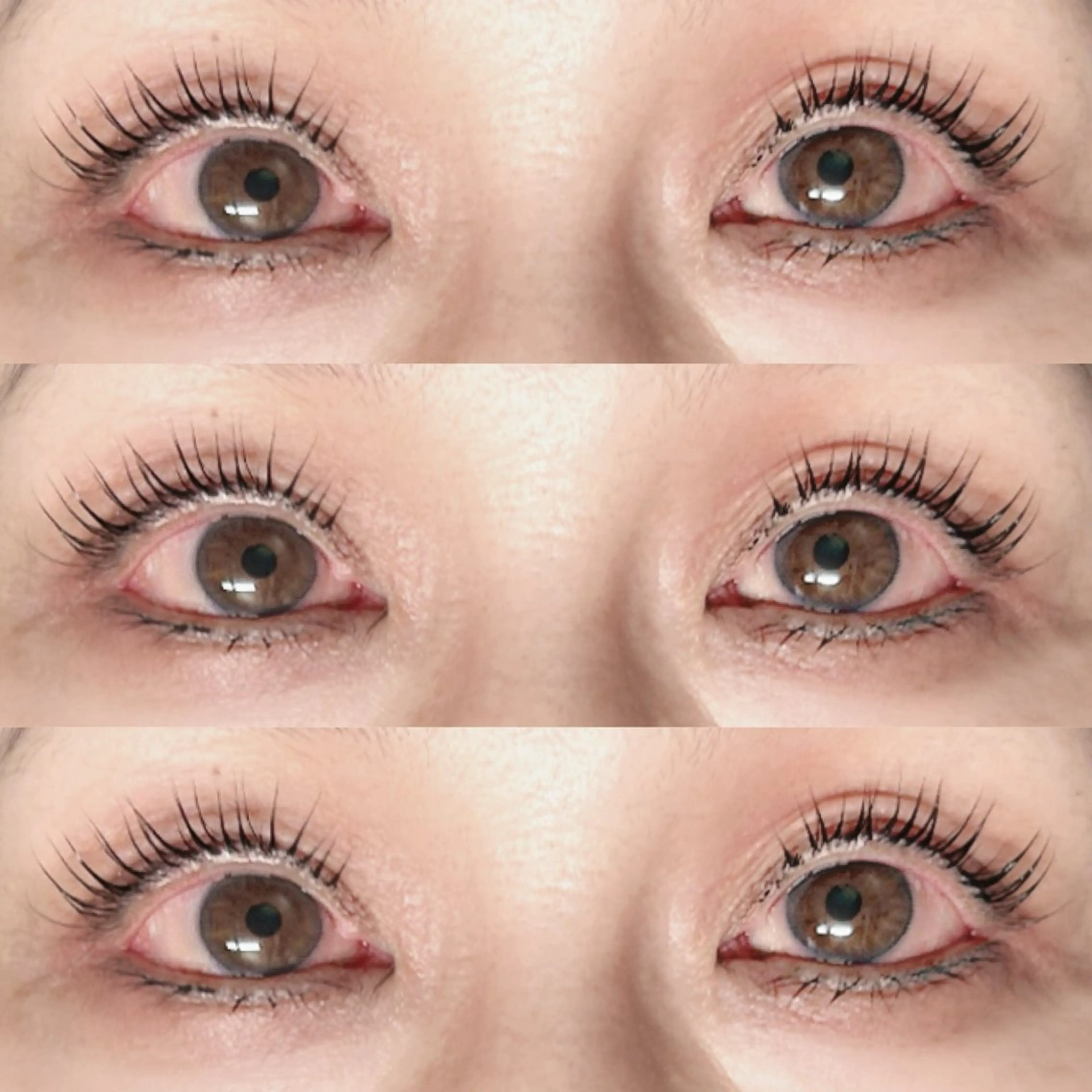 パリジェンヌ+高級コーティング剤🍀🍀の写真