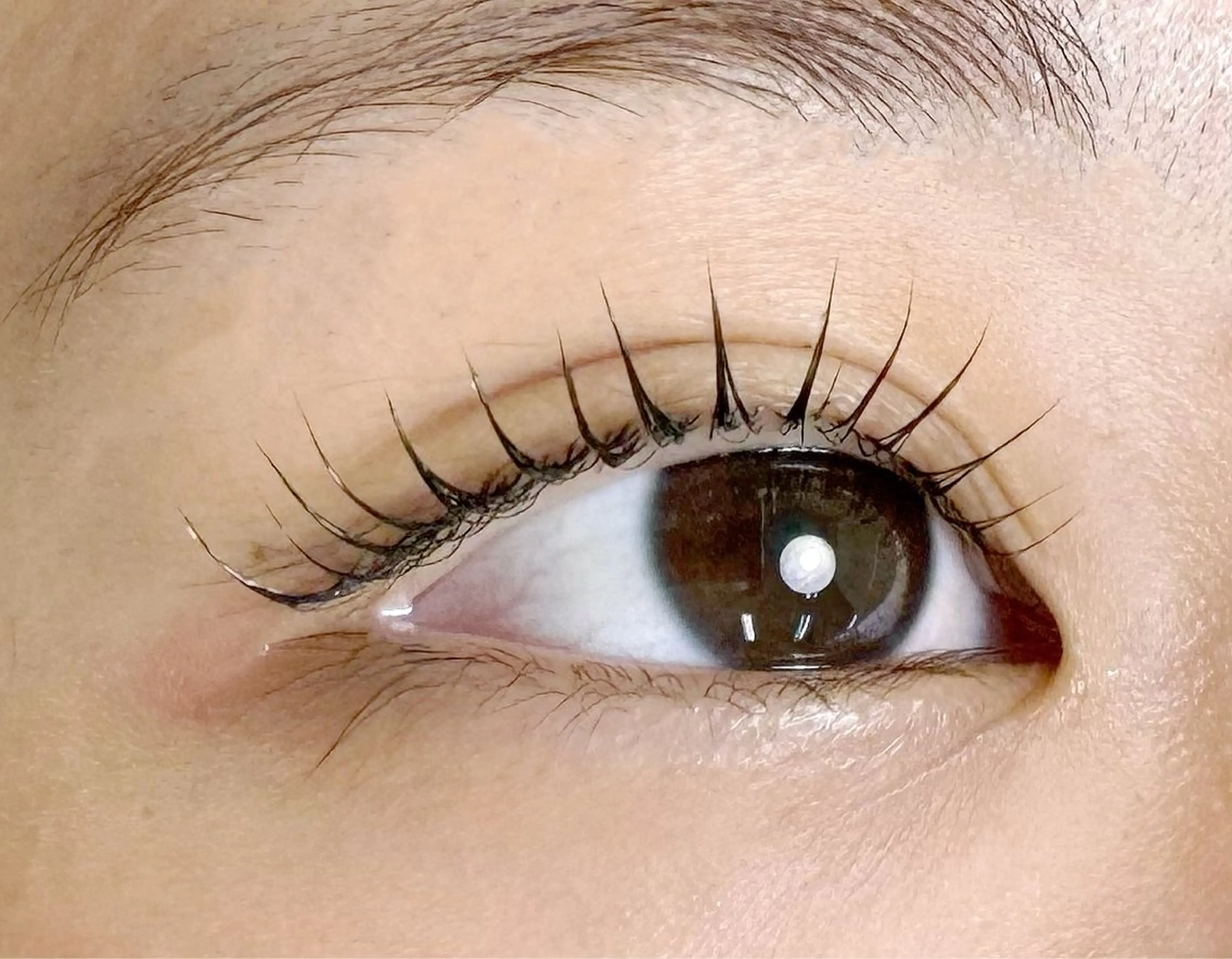 マツエク・マツパ 韓国風マツエク 一重×まつ毛パーマ AOI aura 新宿西口店のマツエク・マツパデザイン