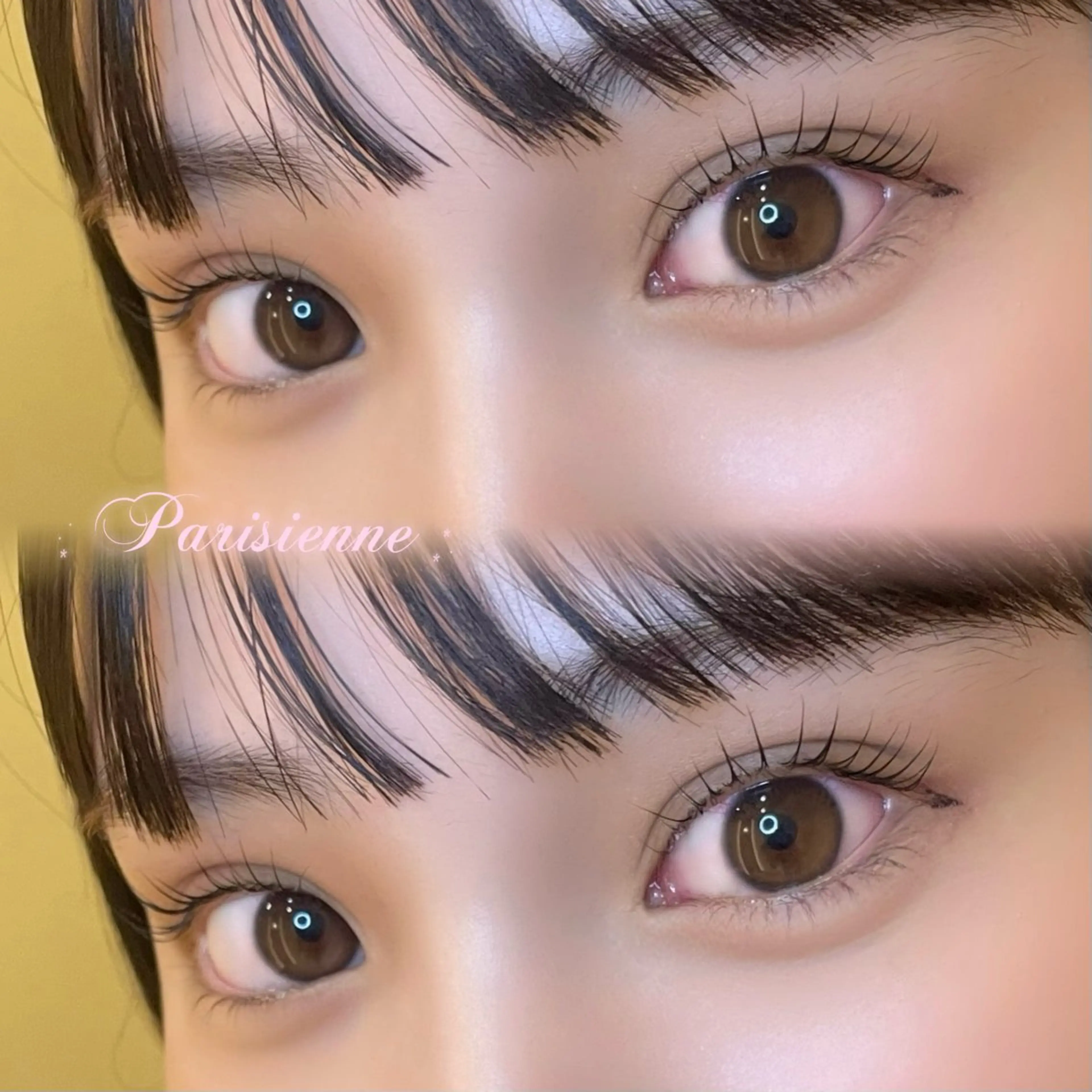 パリジェンヌ【練習モデル】の写真