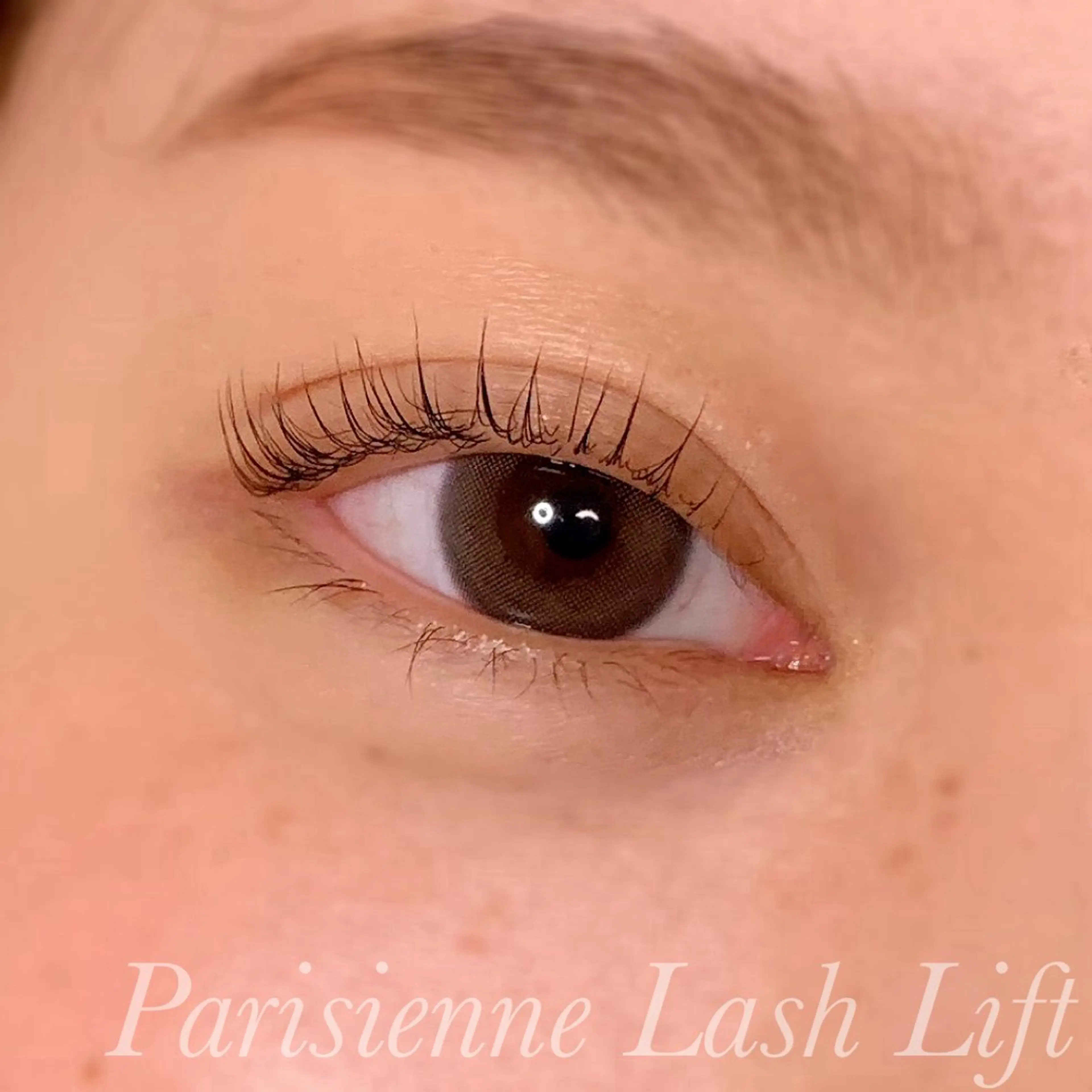 マツエク・マツパ パリジェンヌラッシュリフト マツパ Ayumi.pro 🍆N《4階》のマツエク・マツパデザイン