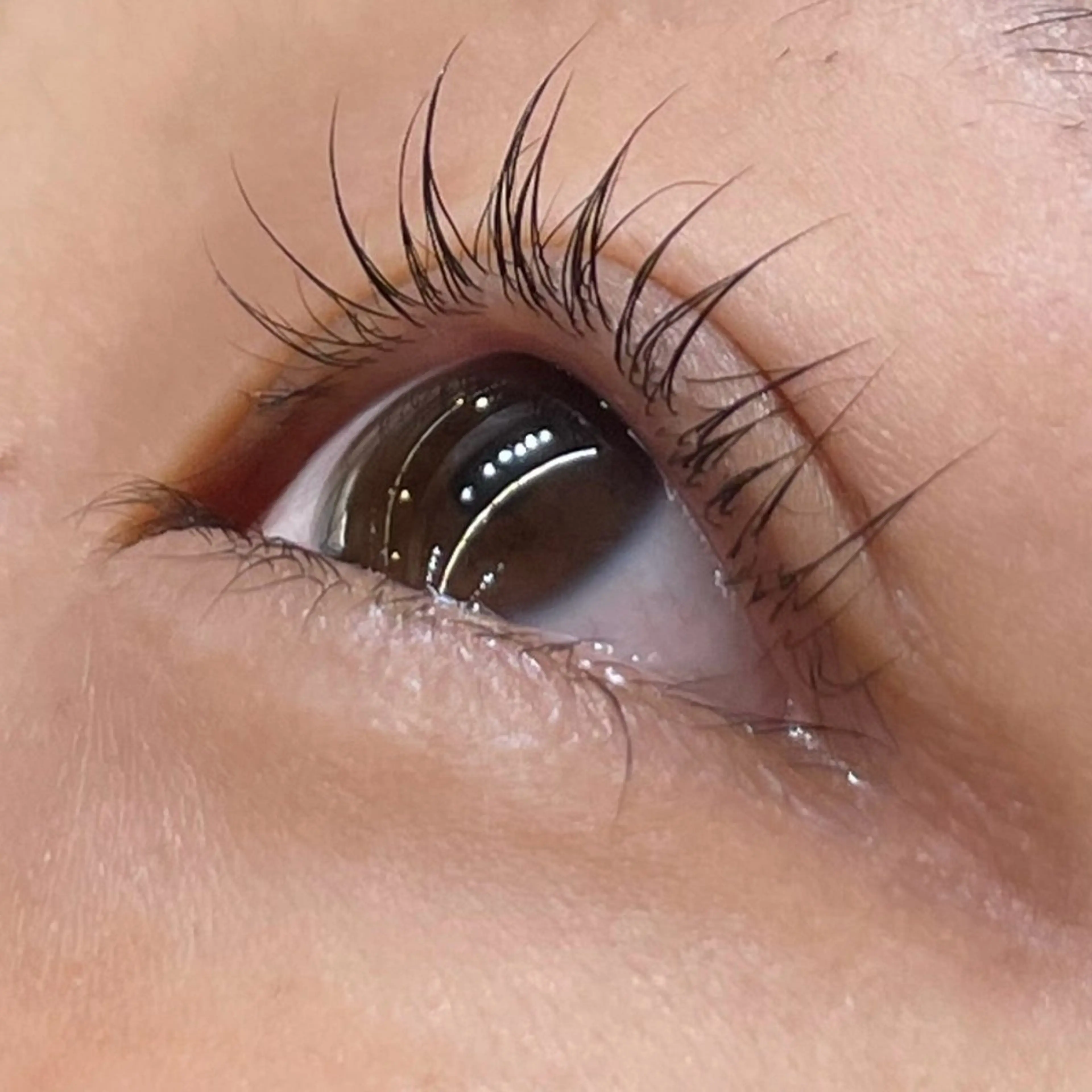 マツエク・マツパ ナチュラル パリジェンヌラッシュリフト 北千住/マツパ モデル募集中/アオのマツエク・マツパデザイン