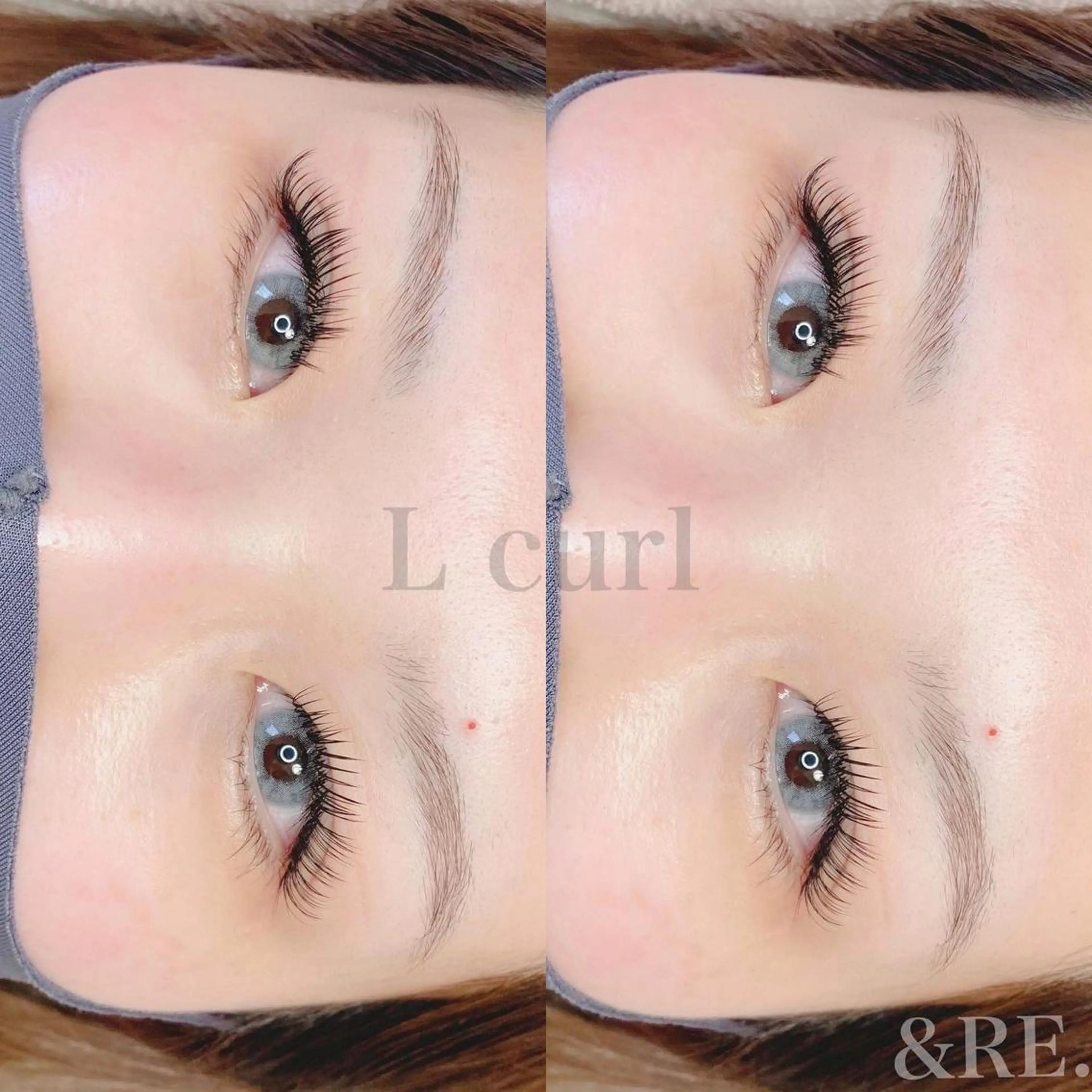 バインドロック120束(オフ込)の写真