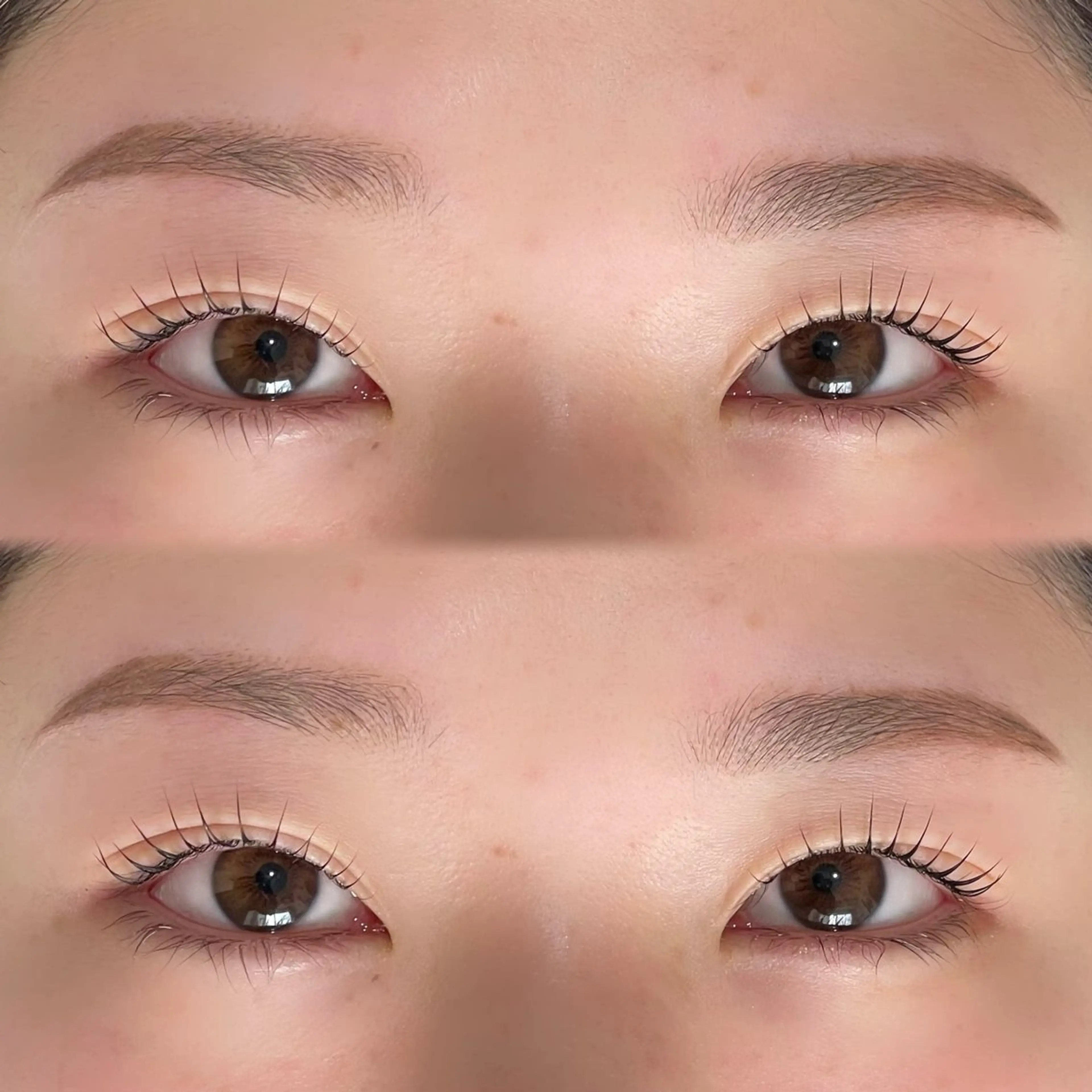 人気No.3❗️フルコース✨上下まつげパーマ➕眉Wax脱毛の写真