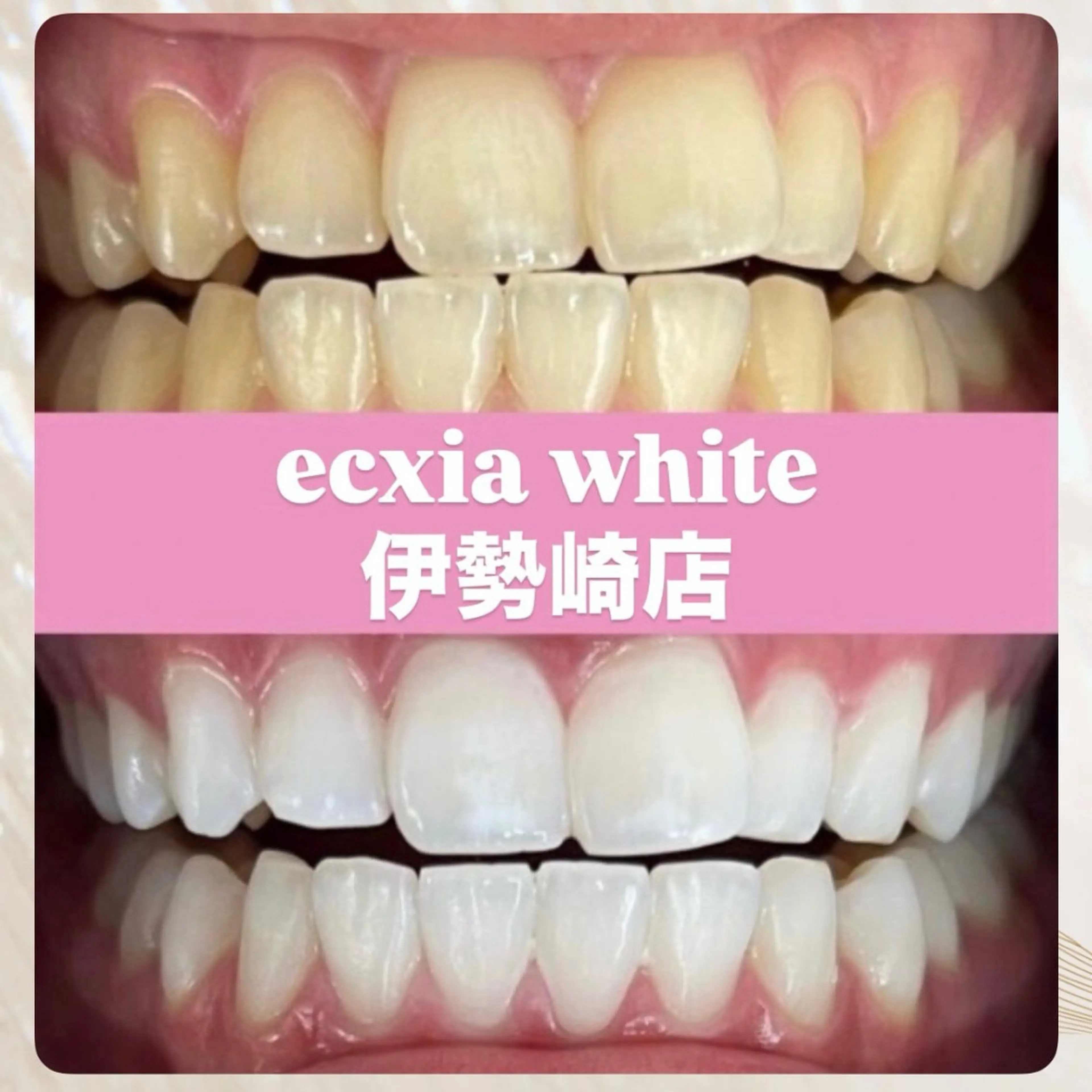 エクシアホワイト 伊勢崎店のその他イメージ