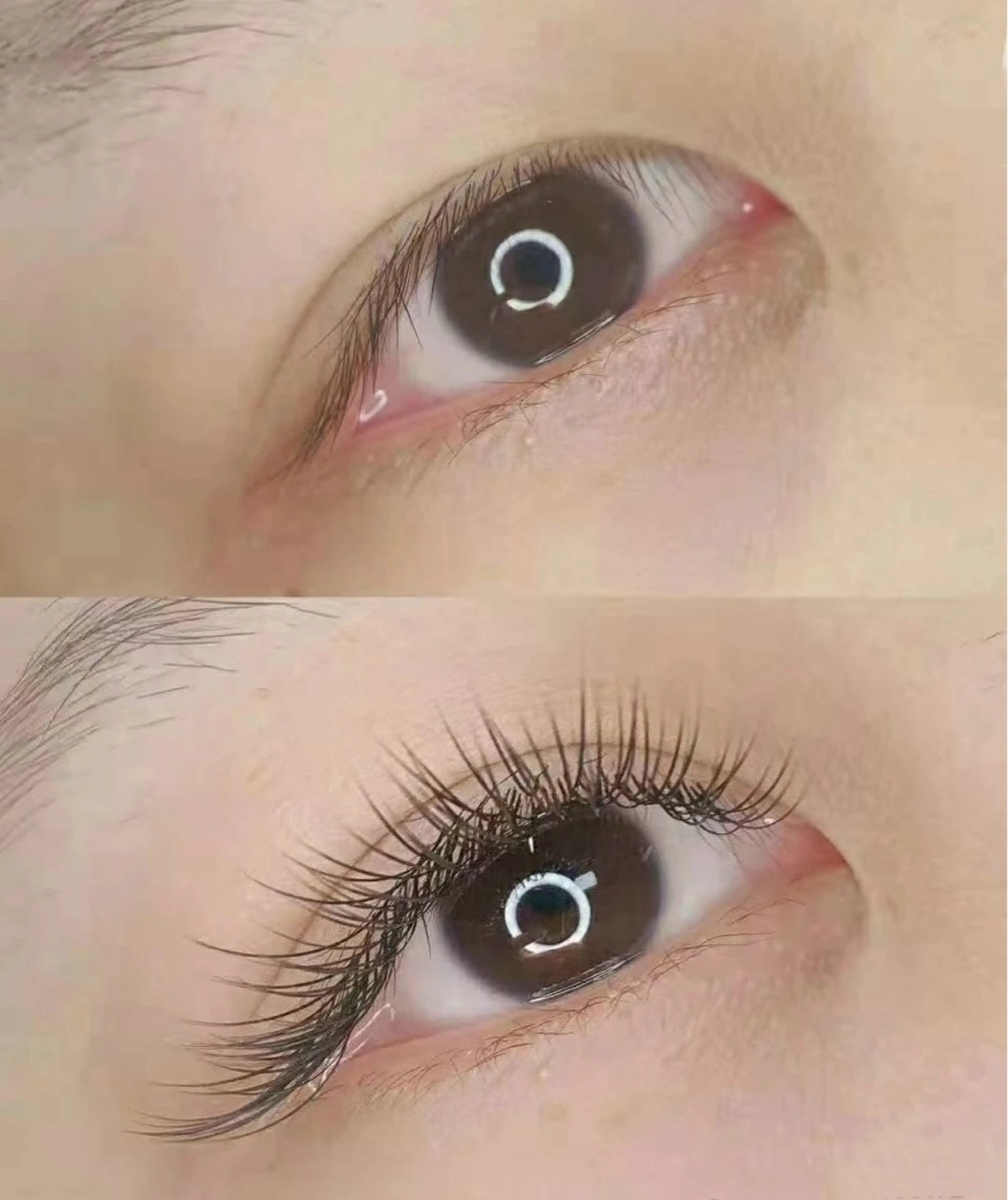 セーブルラッシュ120本(フラットorブラウン+1000円)の写真