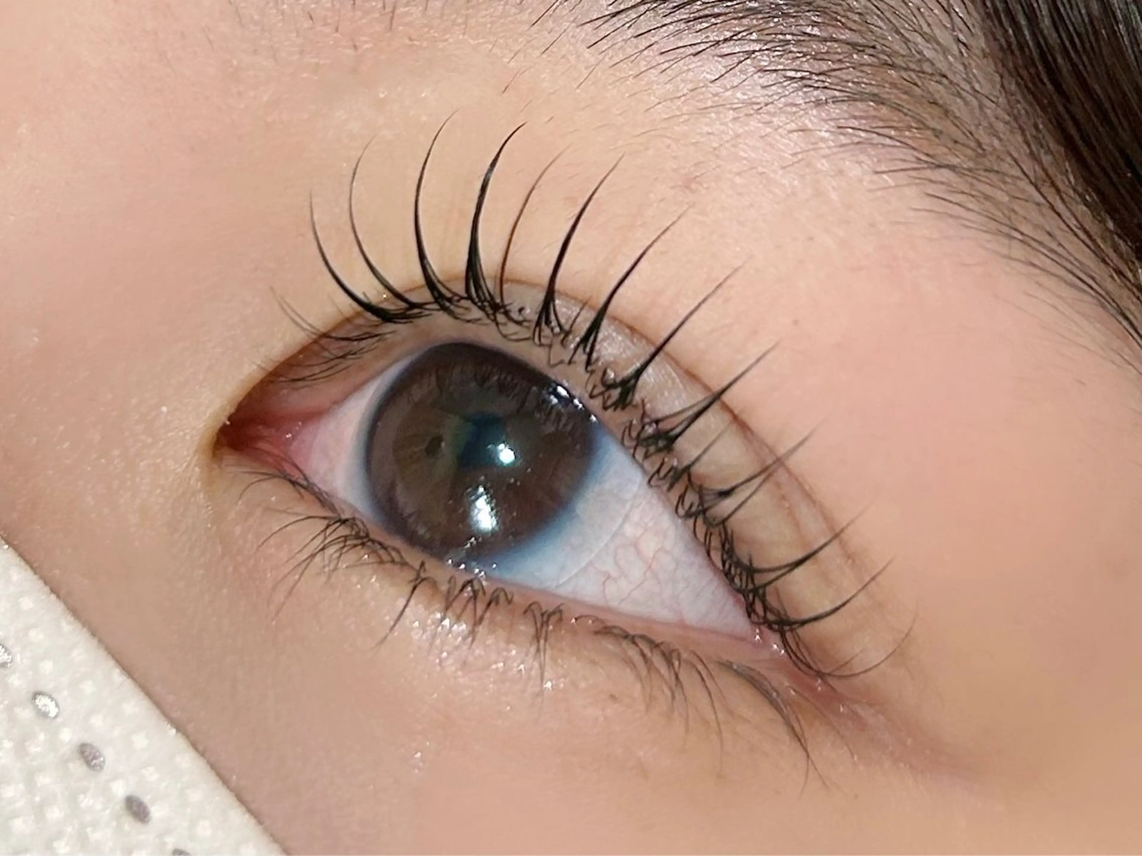 マツエク・マツパ マツパ 𝗲𝗶𝗴𝗵𝘁 𝗛𝗢𝗡𝗗𝗔のマツエク・マツパデザイン