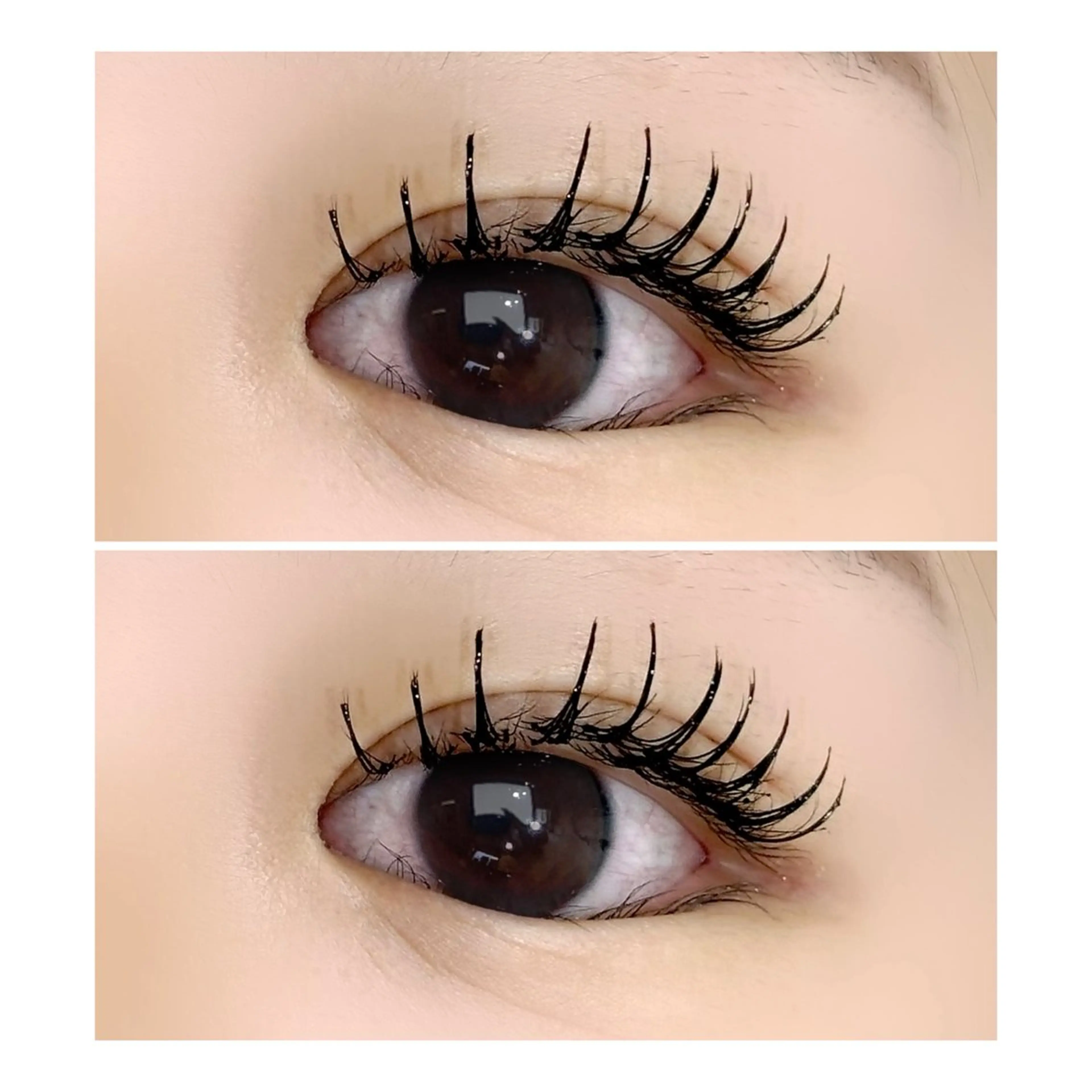 LEDマツエク100本の写真