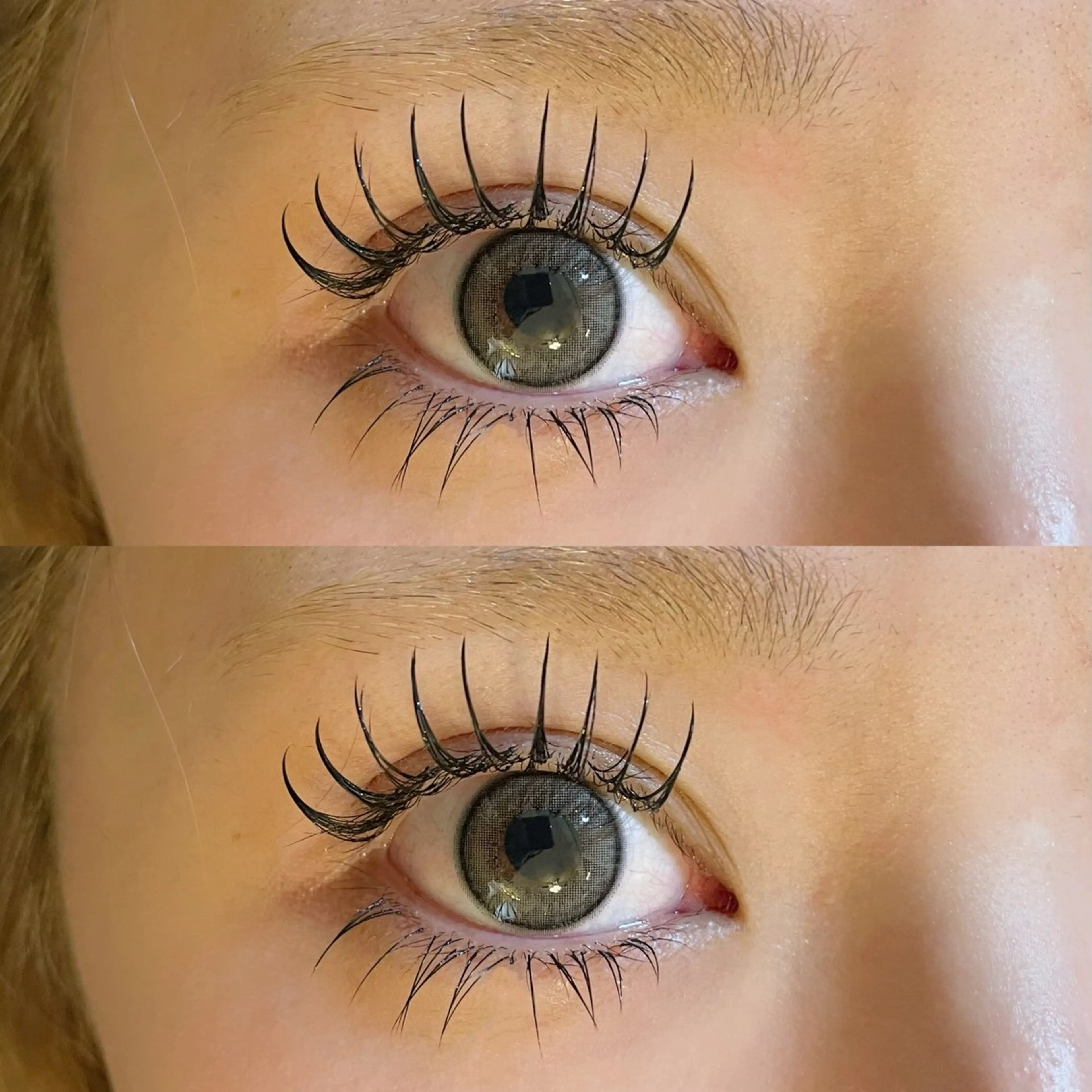 【LED変更+1000円】フラットラッシュ170本​〜​180本🌿オフ無料🌿クリアコーティング仕上げの写真