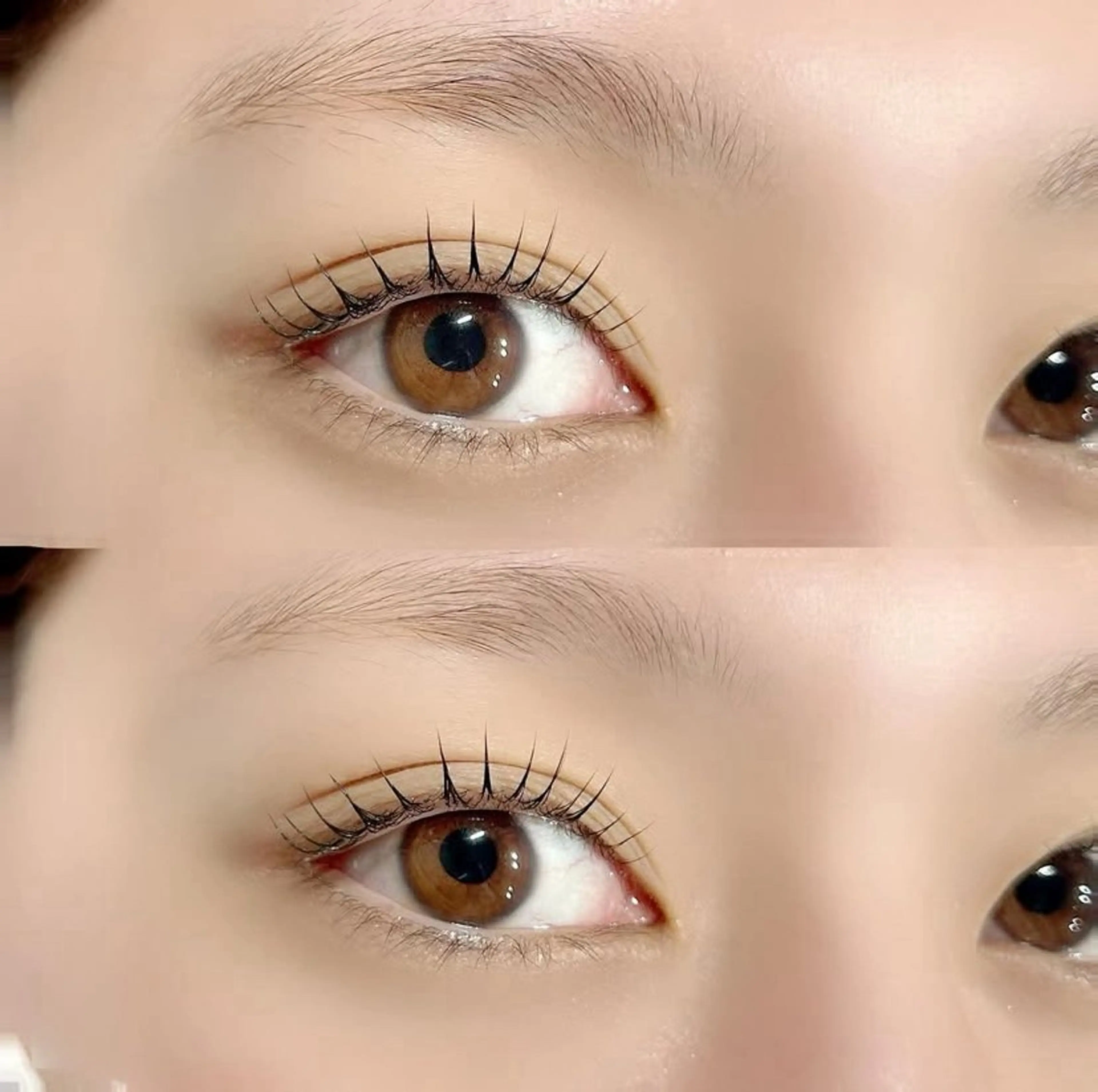 マツエク・マツパ まつげパーマ Lnature 【完全個室】熊本下通の眉毛・アイブロウイメージ