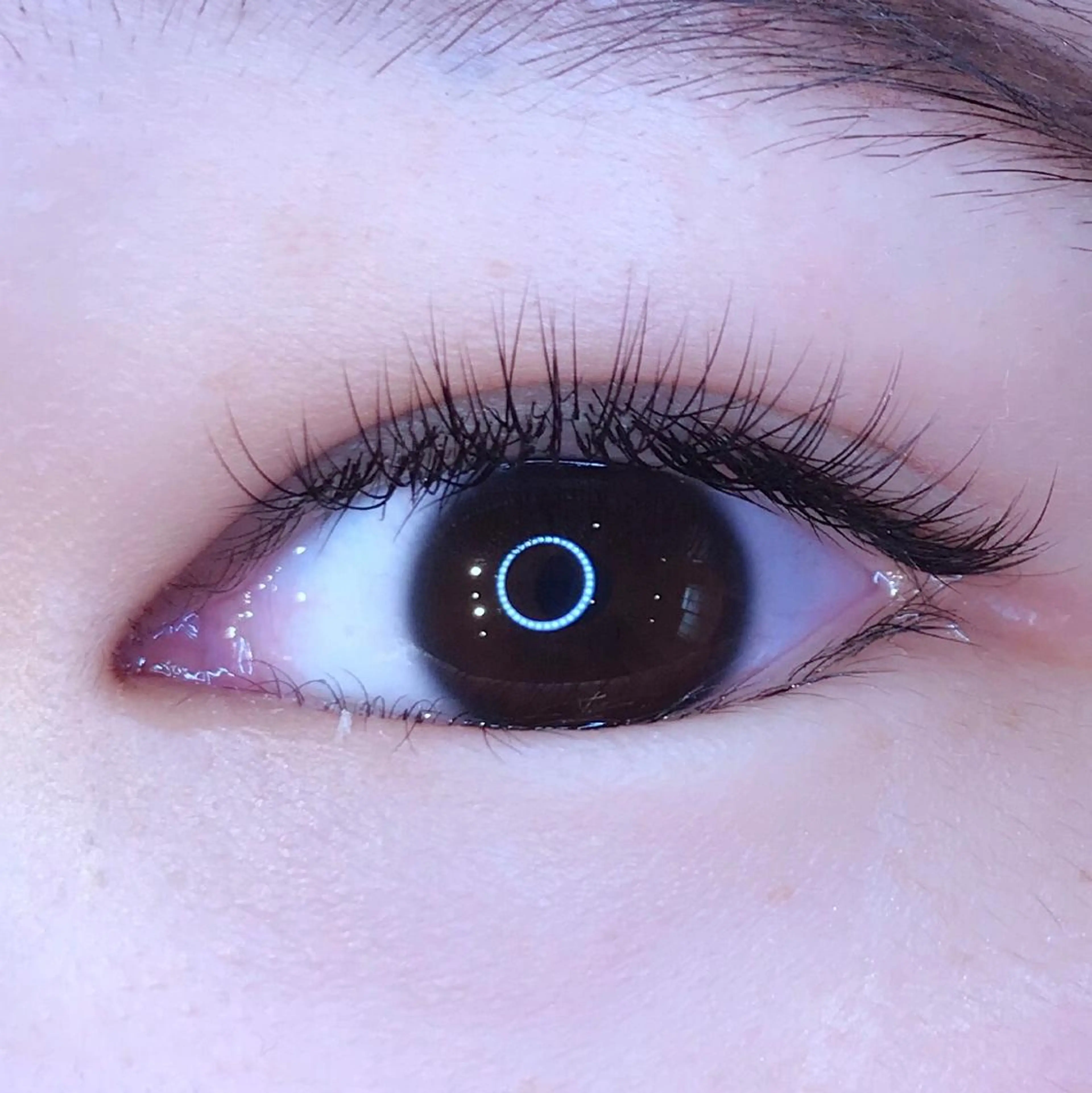 マツエク・マツパ ナチュラル THE BALM🐦 橋本♪のマツエク・マツパデザイン